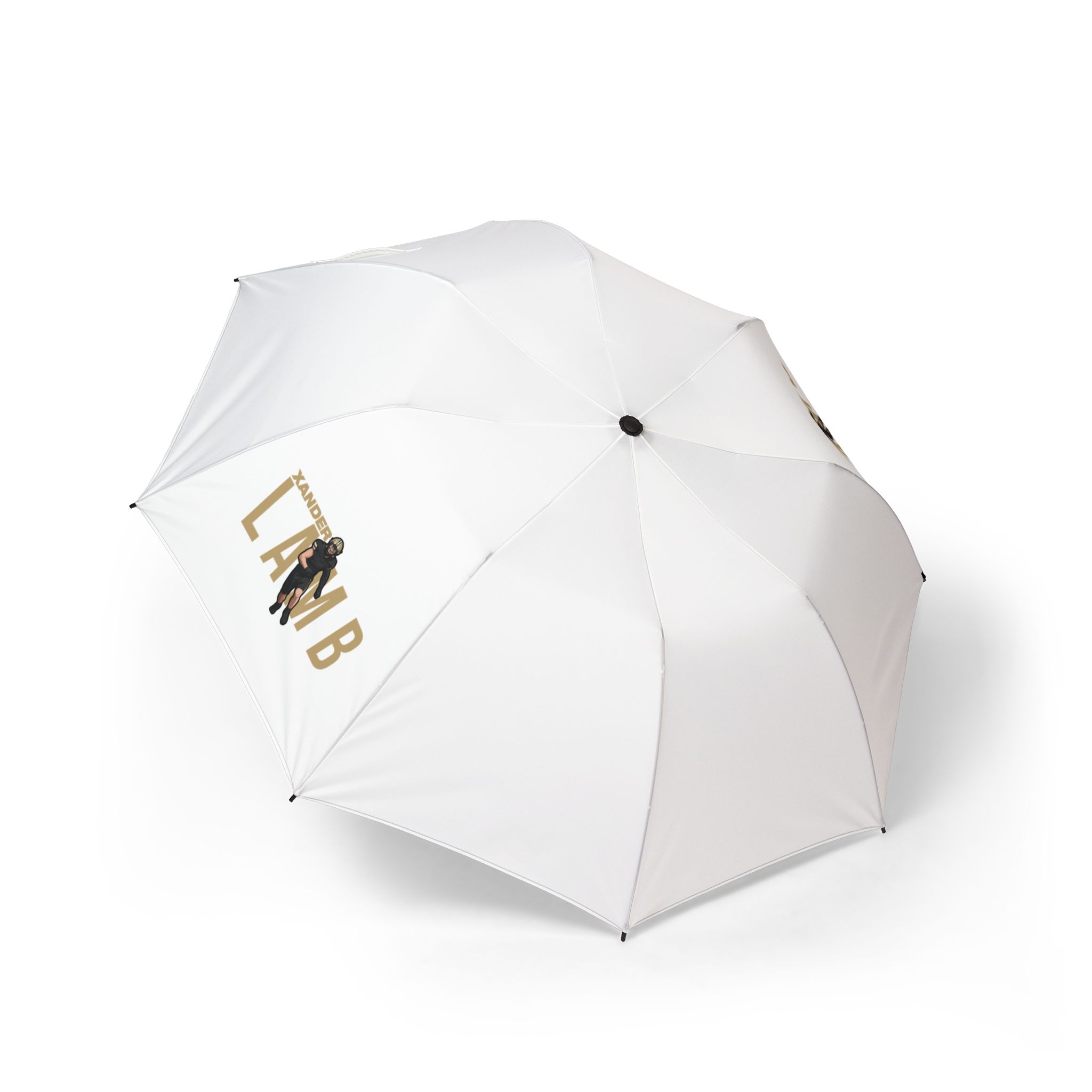 Foldable Umbrella — character_player_name in Classic