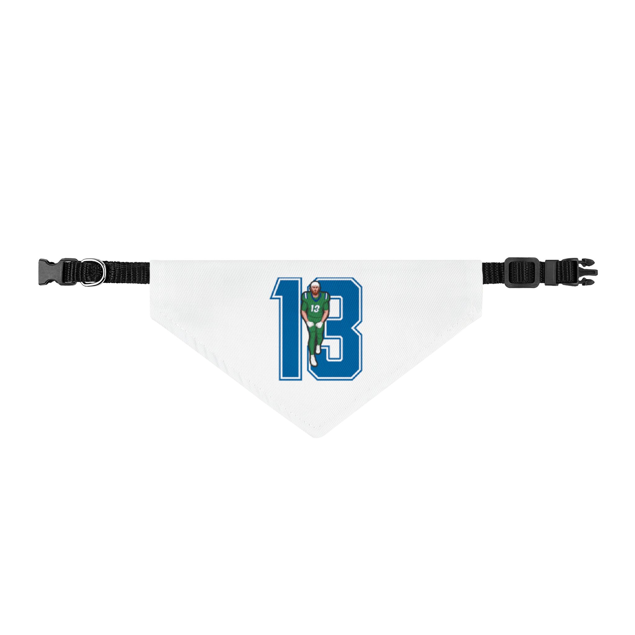 Pet Bandana — character_number in Classic