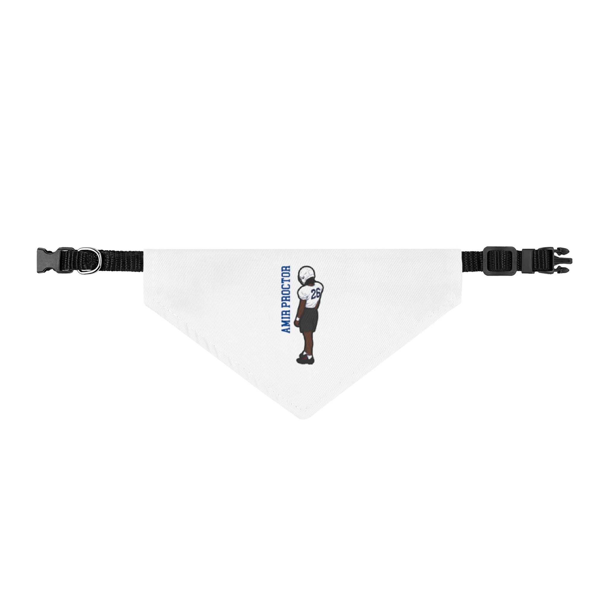 Clip-on Pet Bandana