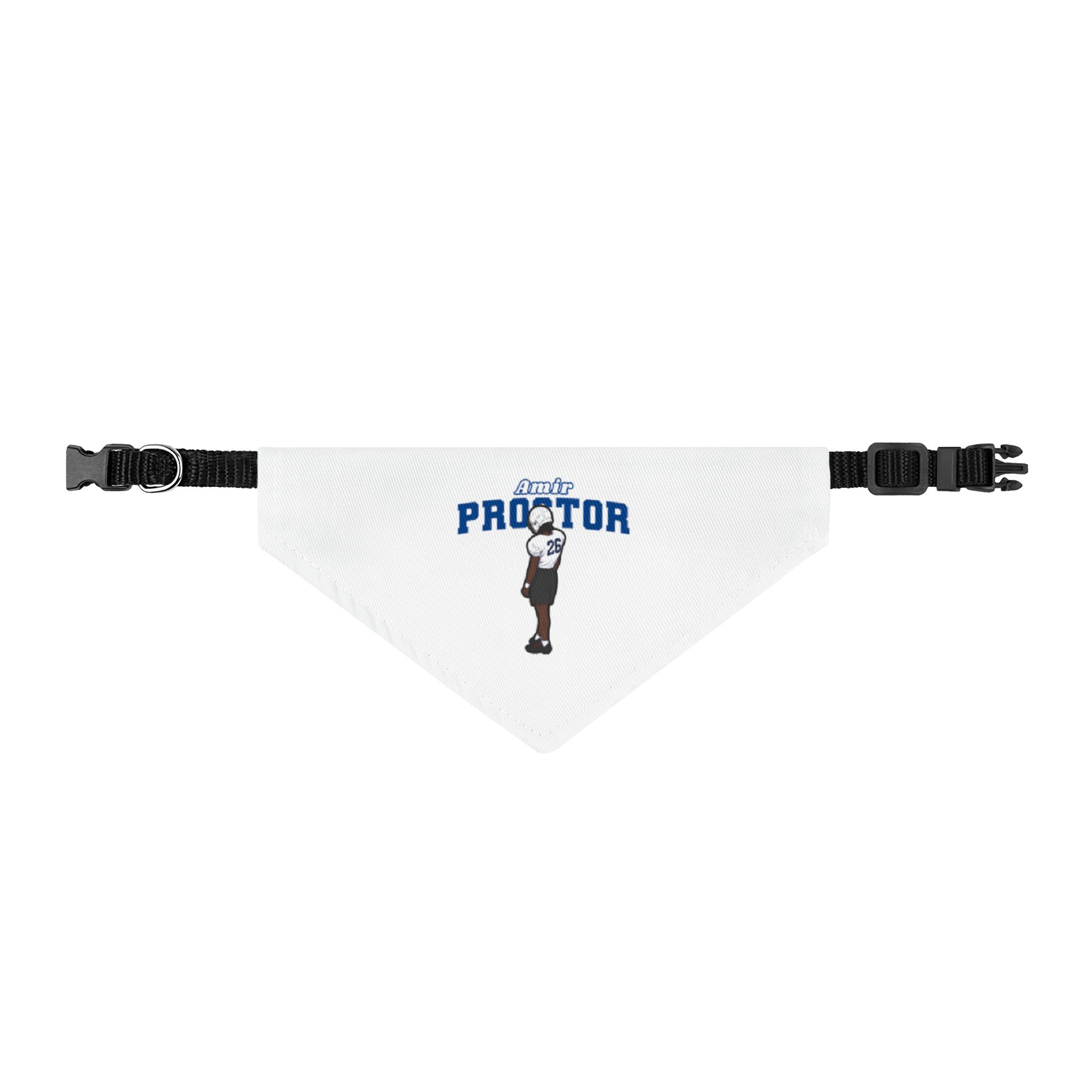 Clip-on Pet Bandana — character_name_arch in Classic