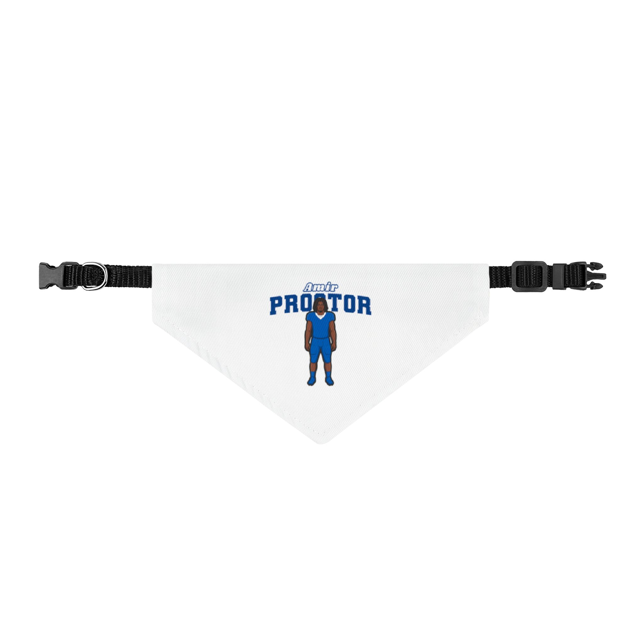 Clip-on Pet Bandana — character_name_arch in Classic