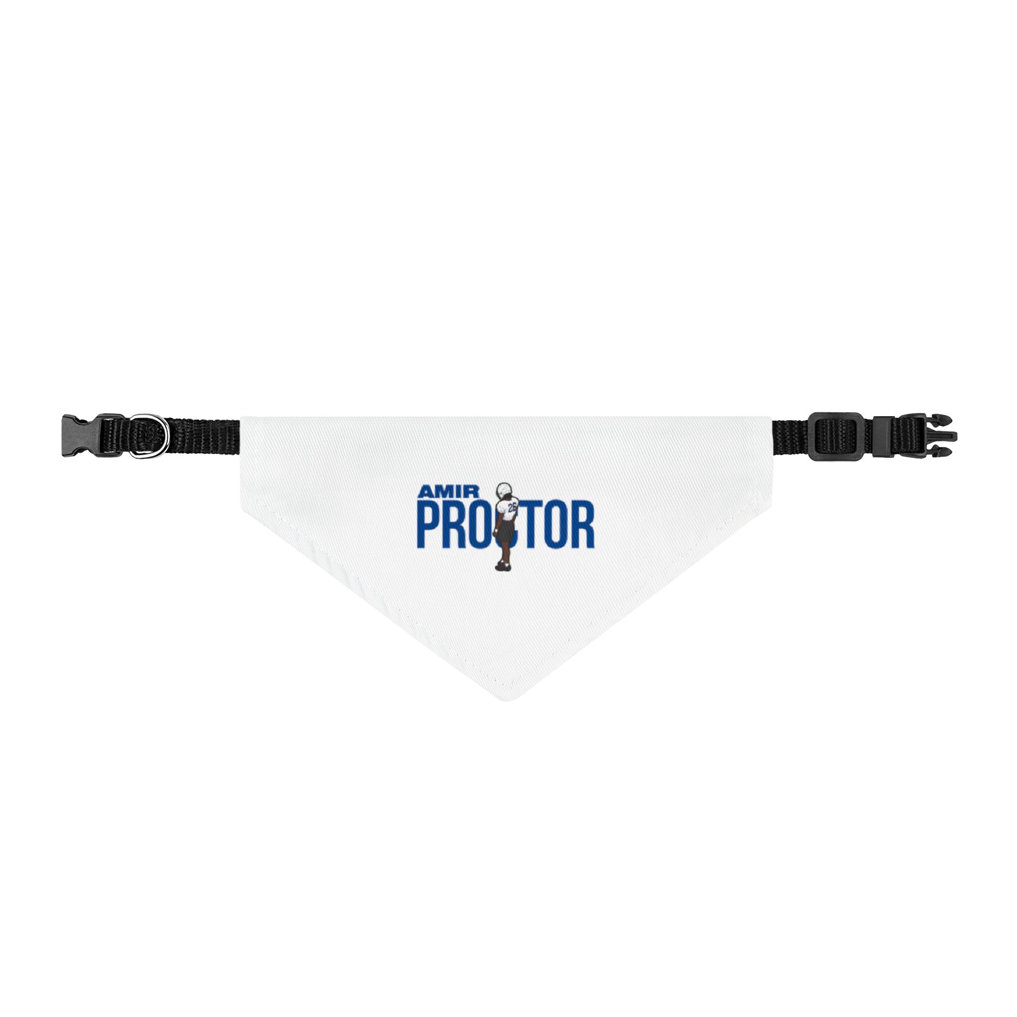 Clip-on Pet Bandana — character_player_name in Classic