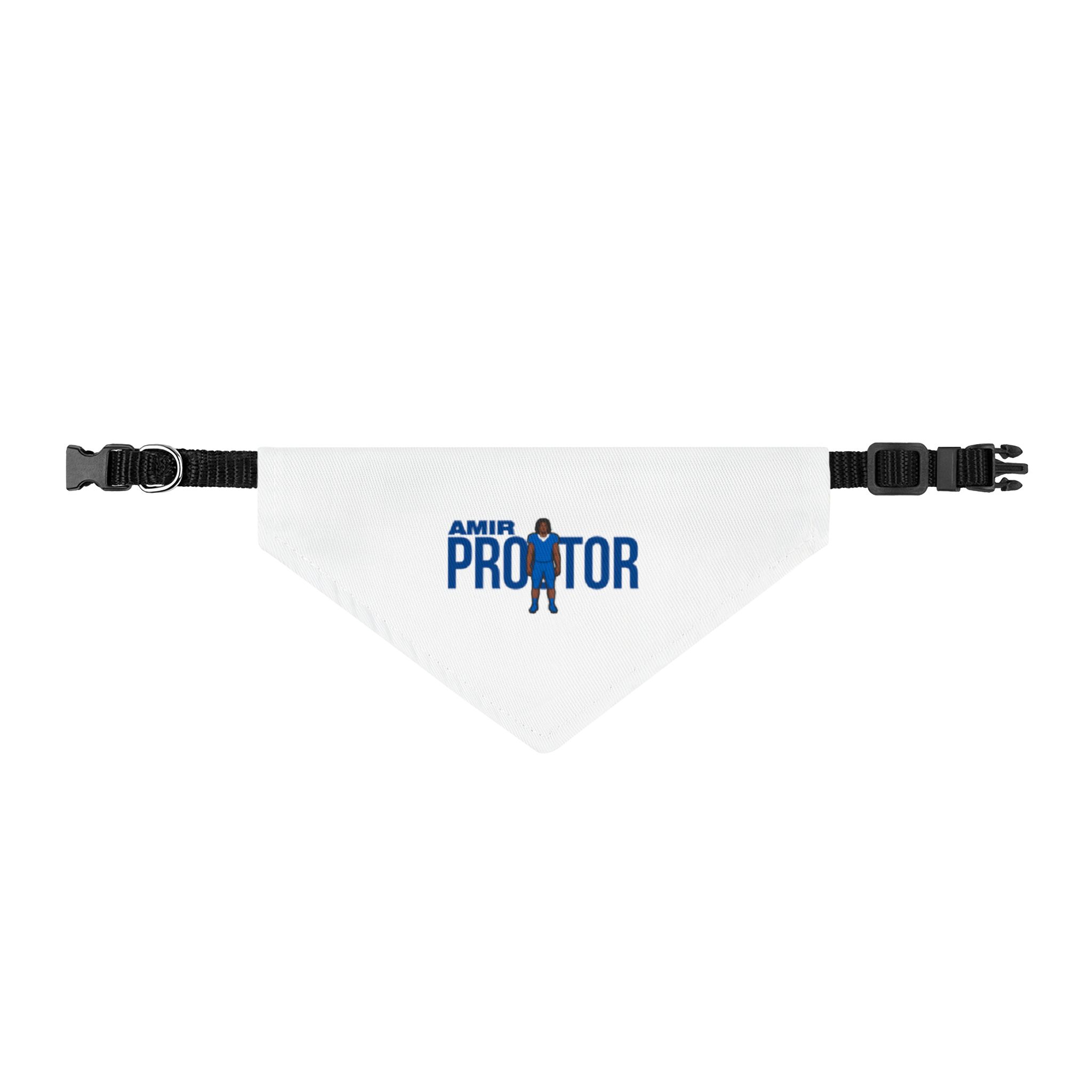 Clip-on Pet Bandana — character_player_name in Classic
