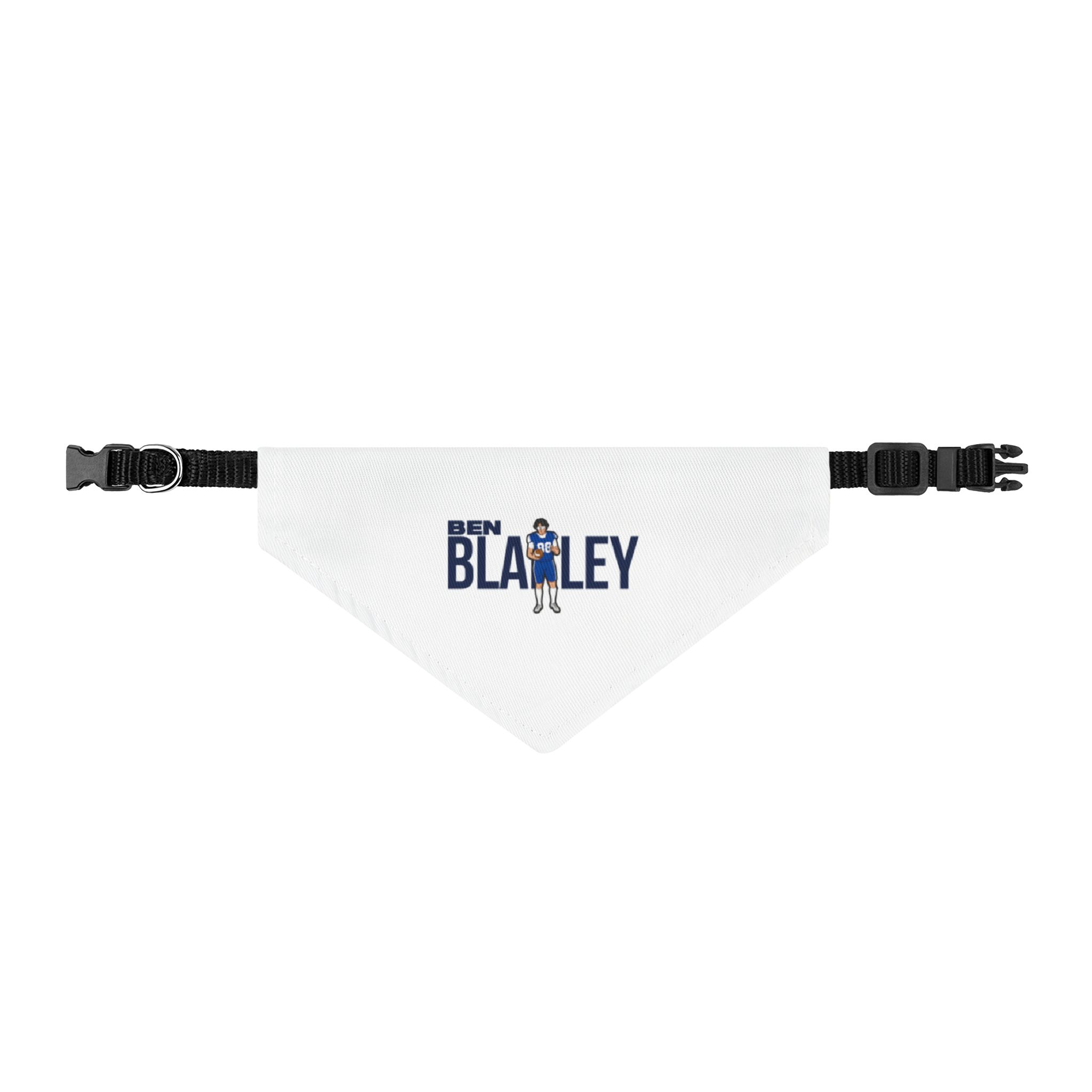 Pet Bandana — character_player_name in Classic