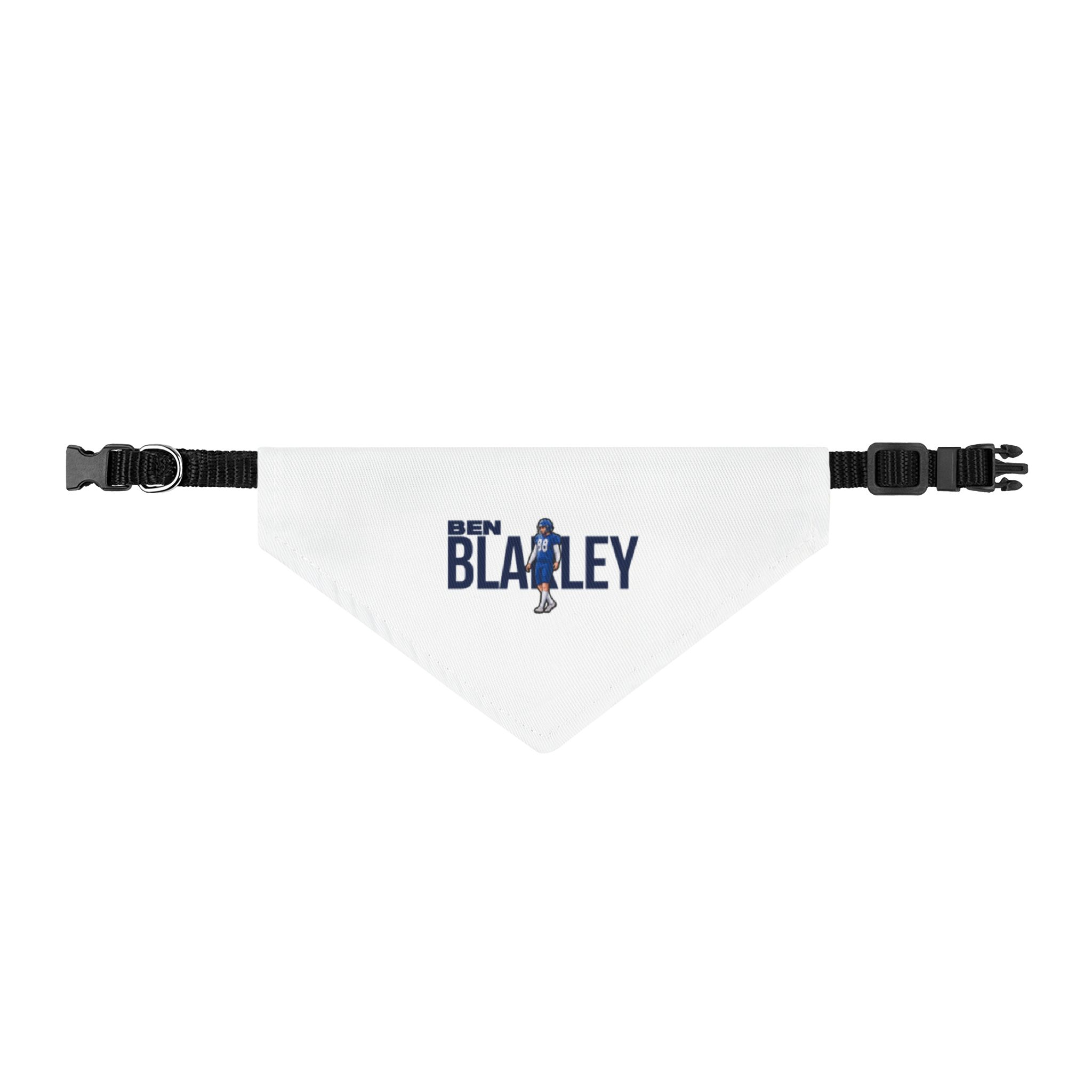 Pet Bandana — character_player_name in Classic