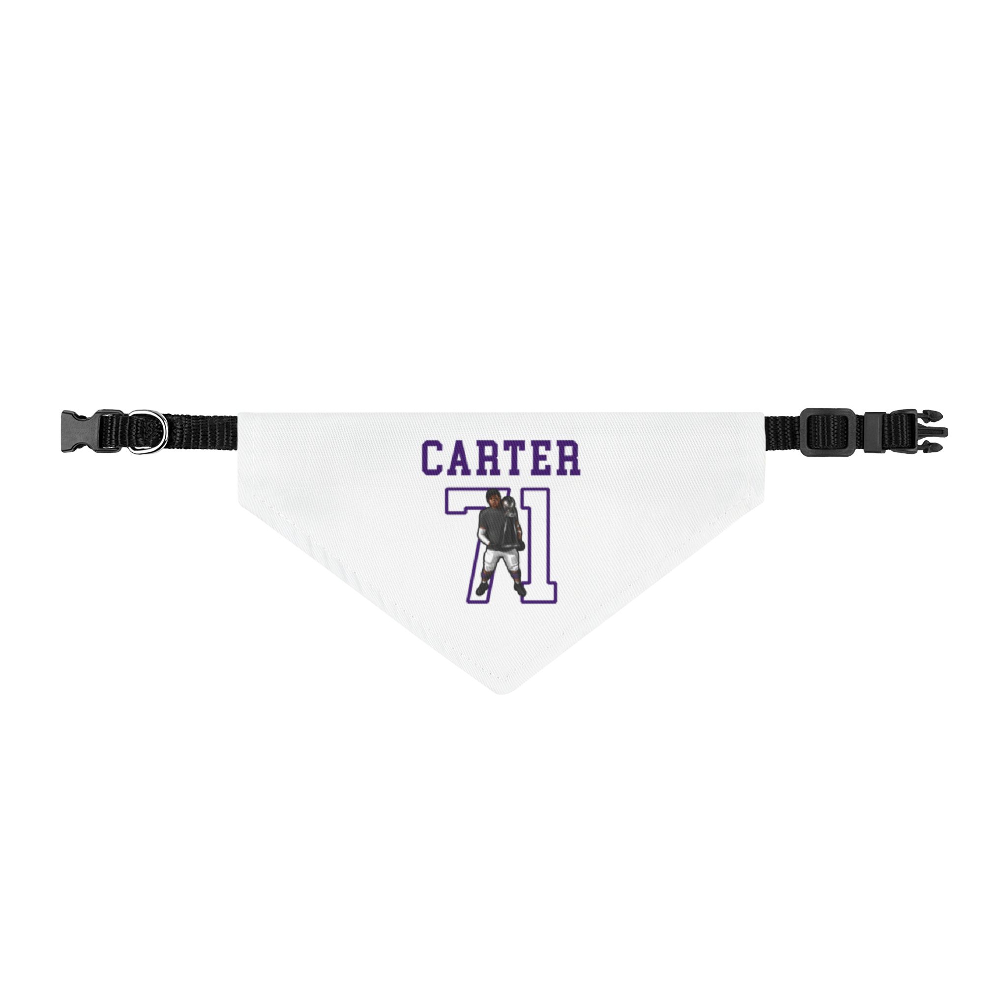 Pet Bandana — character_shirsey in Classic