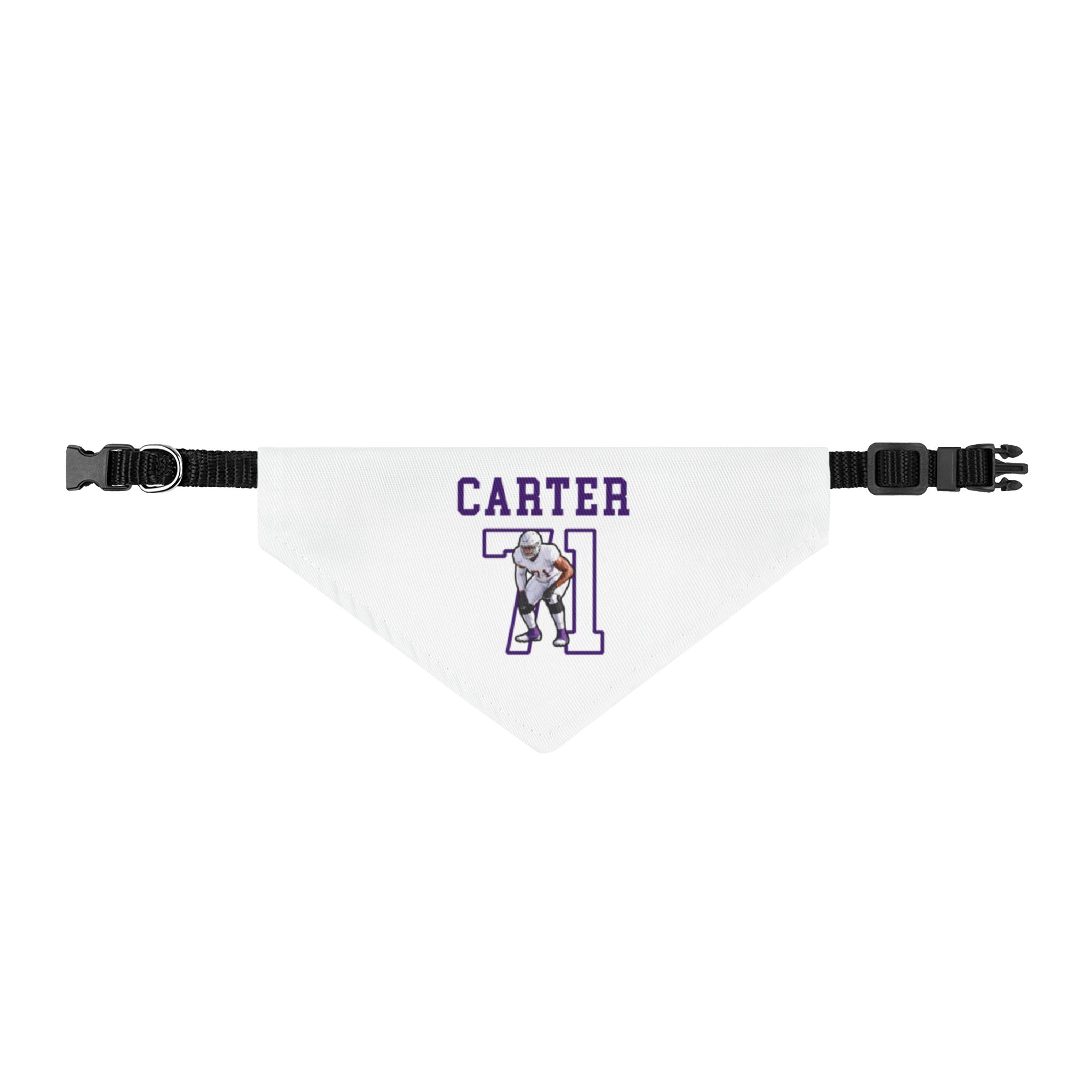 Pet Bandana — character_shirsey in Classic