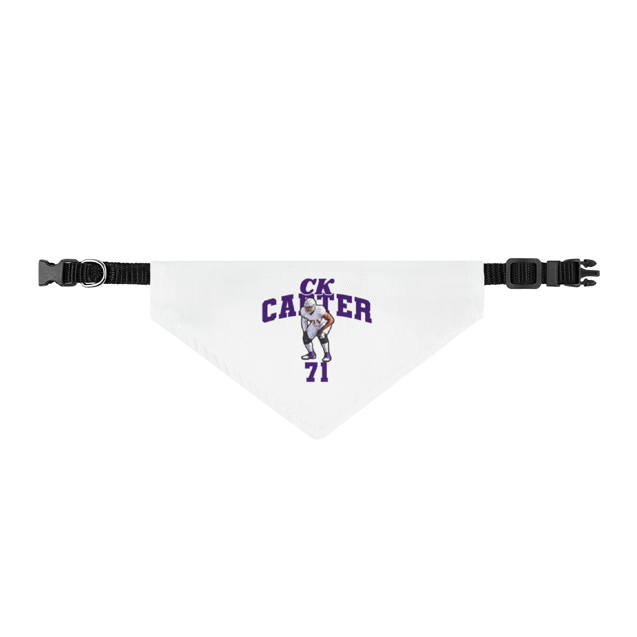 Pet Bandana — character_signature_arch in Classic