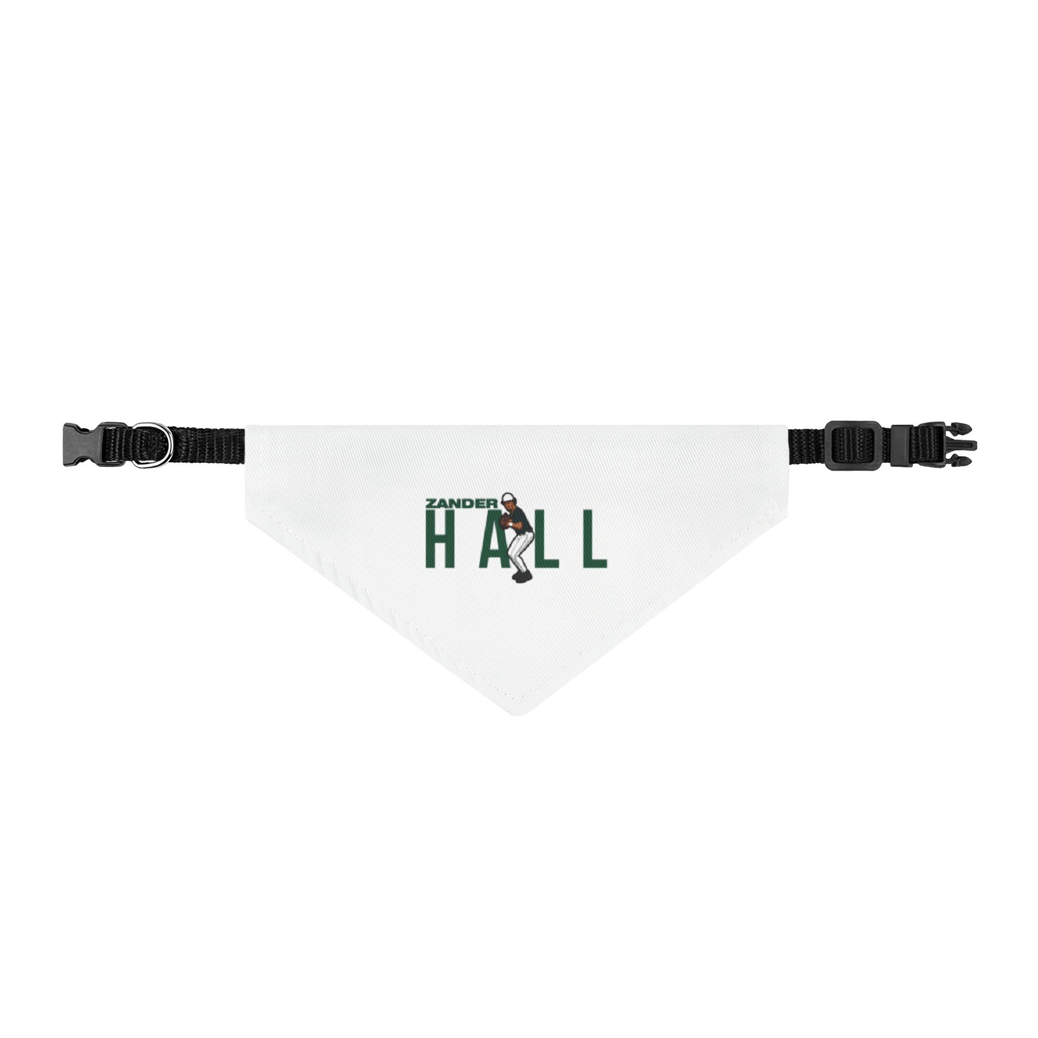 Pet Bandana — character_player_name in Classic