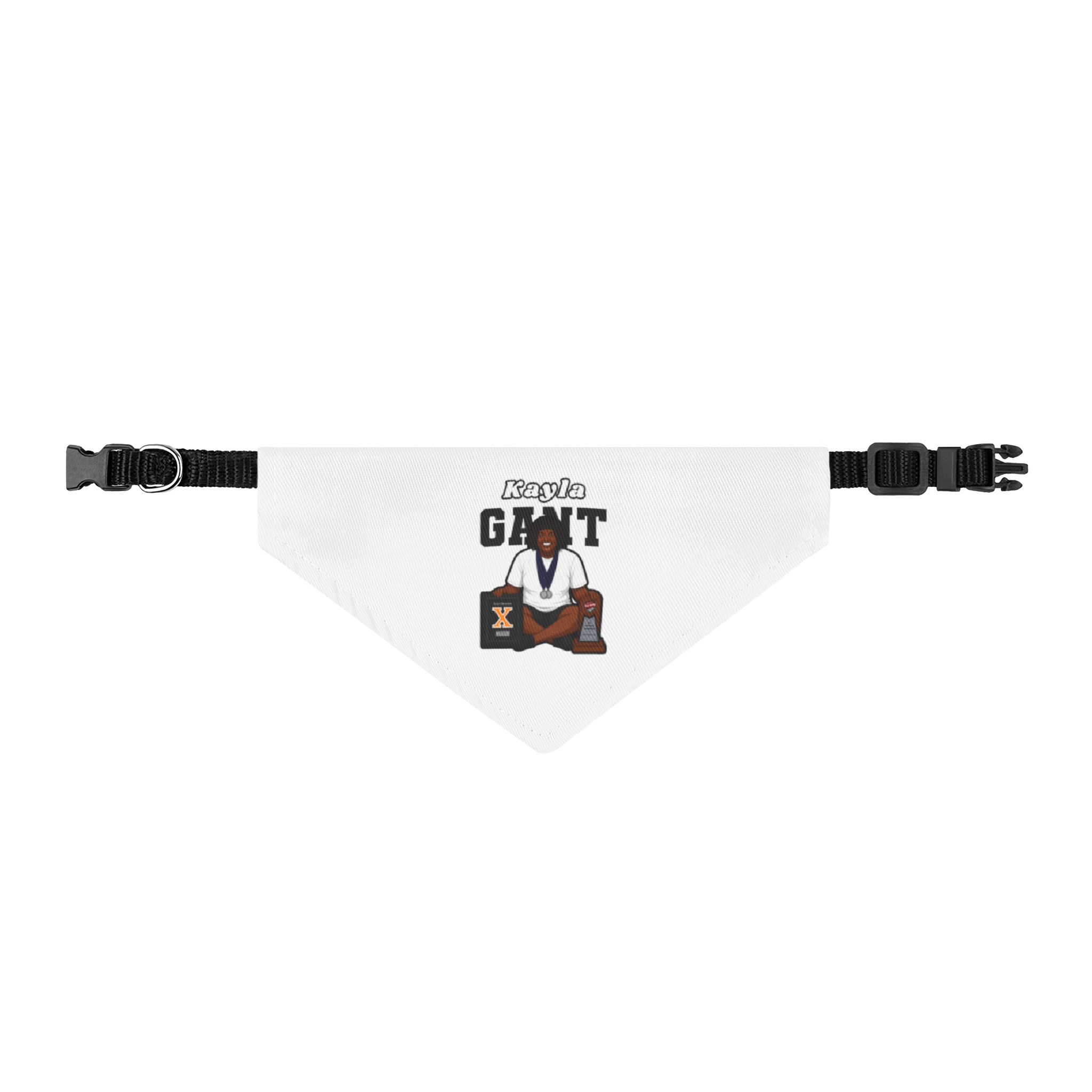Pet Bandana — character_name_arch in Classic