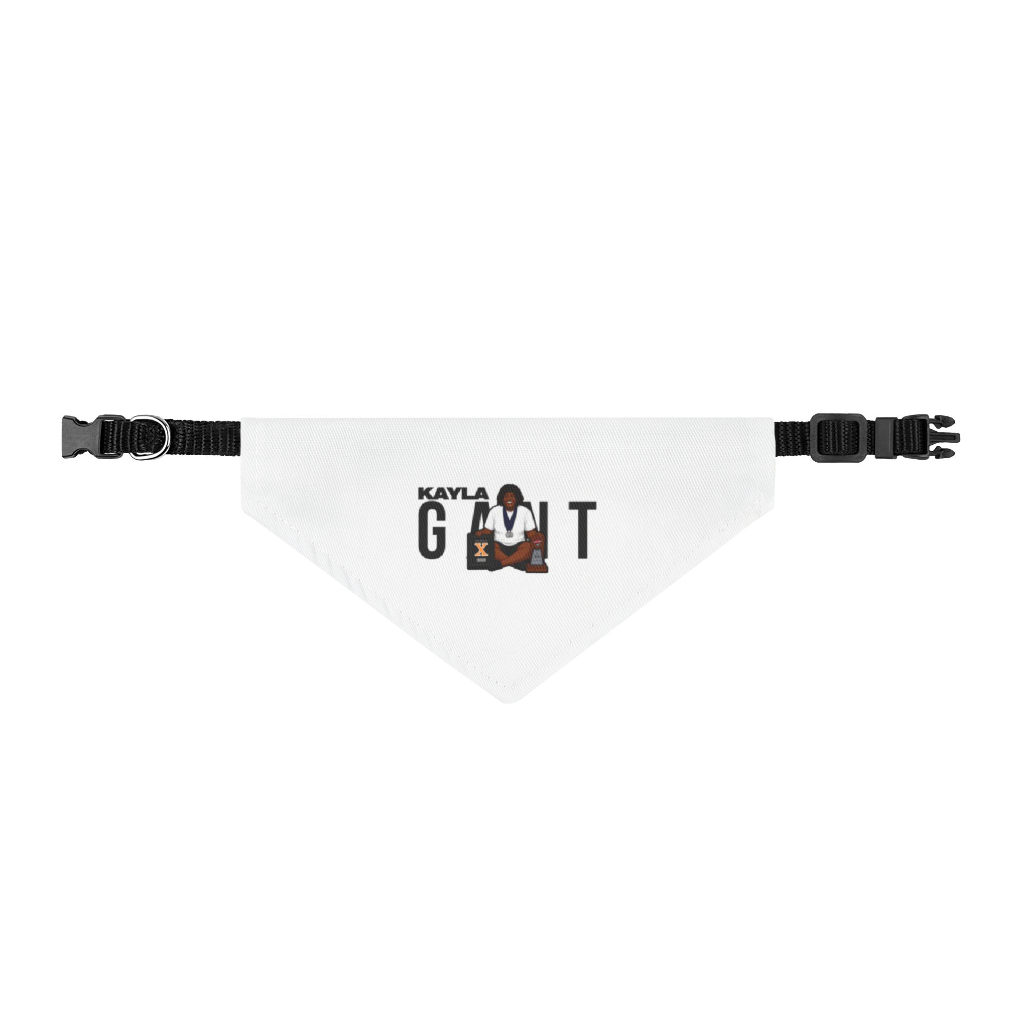 Pet Bandana — character_player_name in Classic
