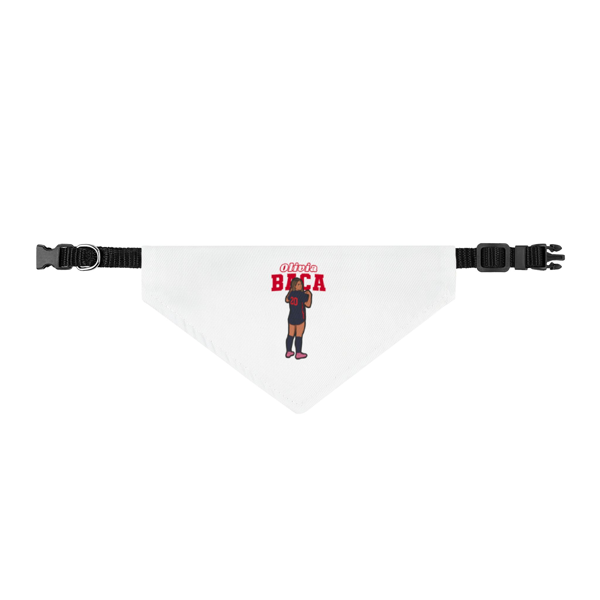 Pet Bandana — character_name_arch in Classic