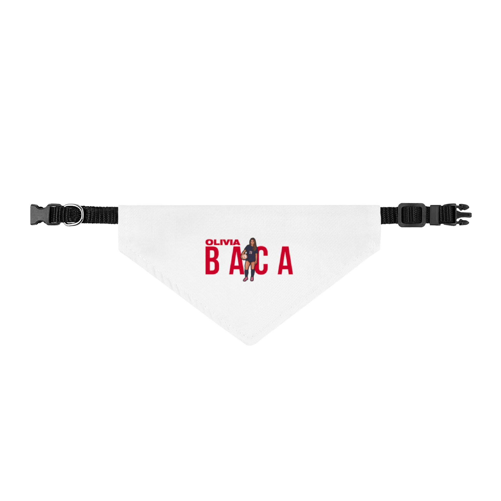 Pet Bandana — character_player_name in Classic