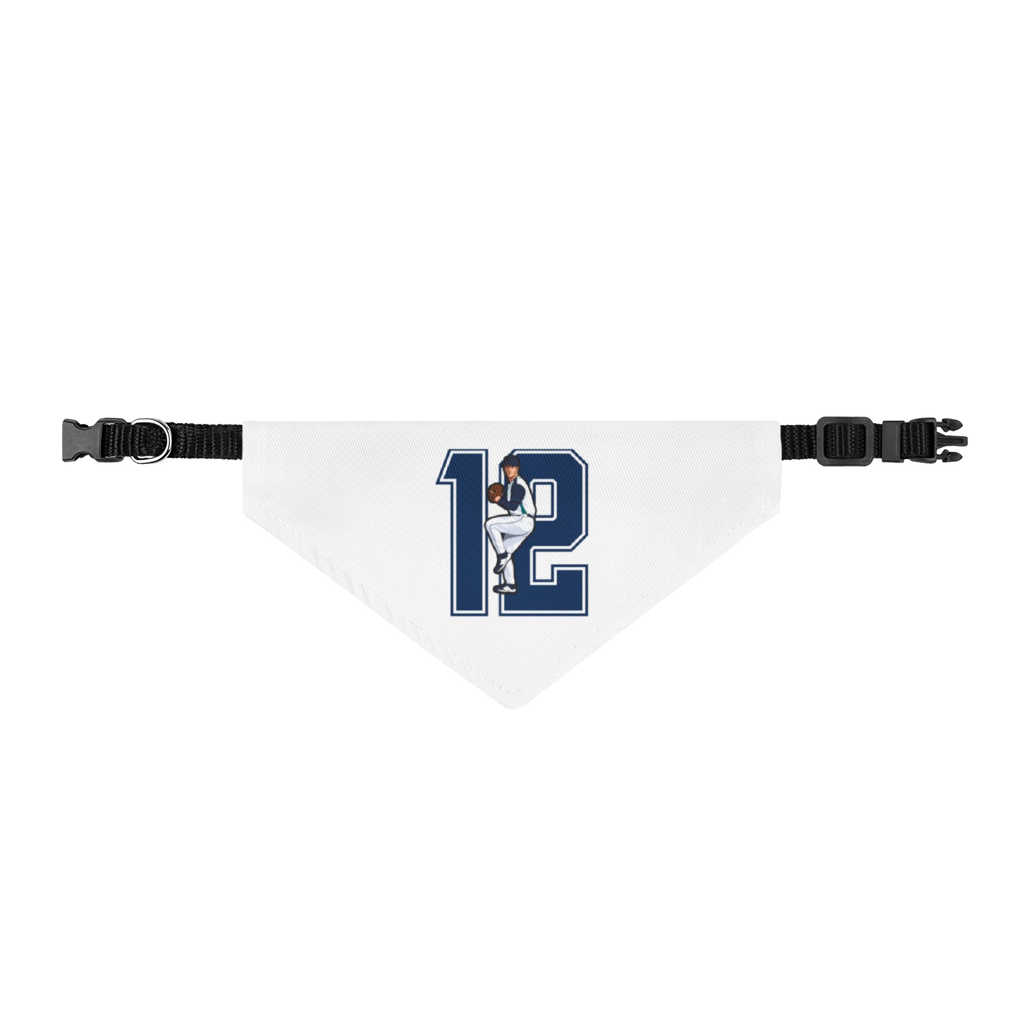Pet Bandana — character_number in Classic