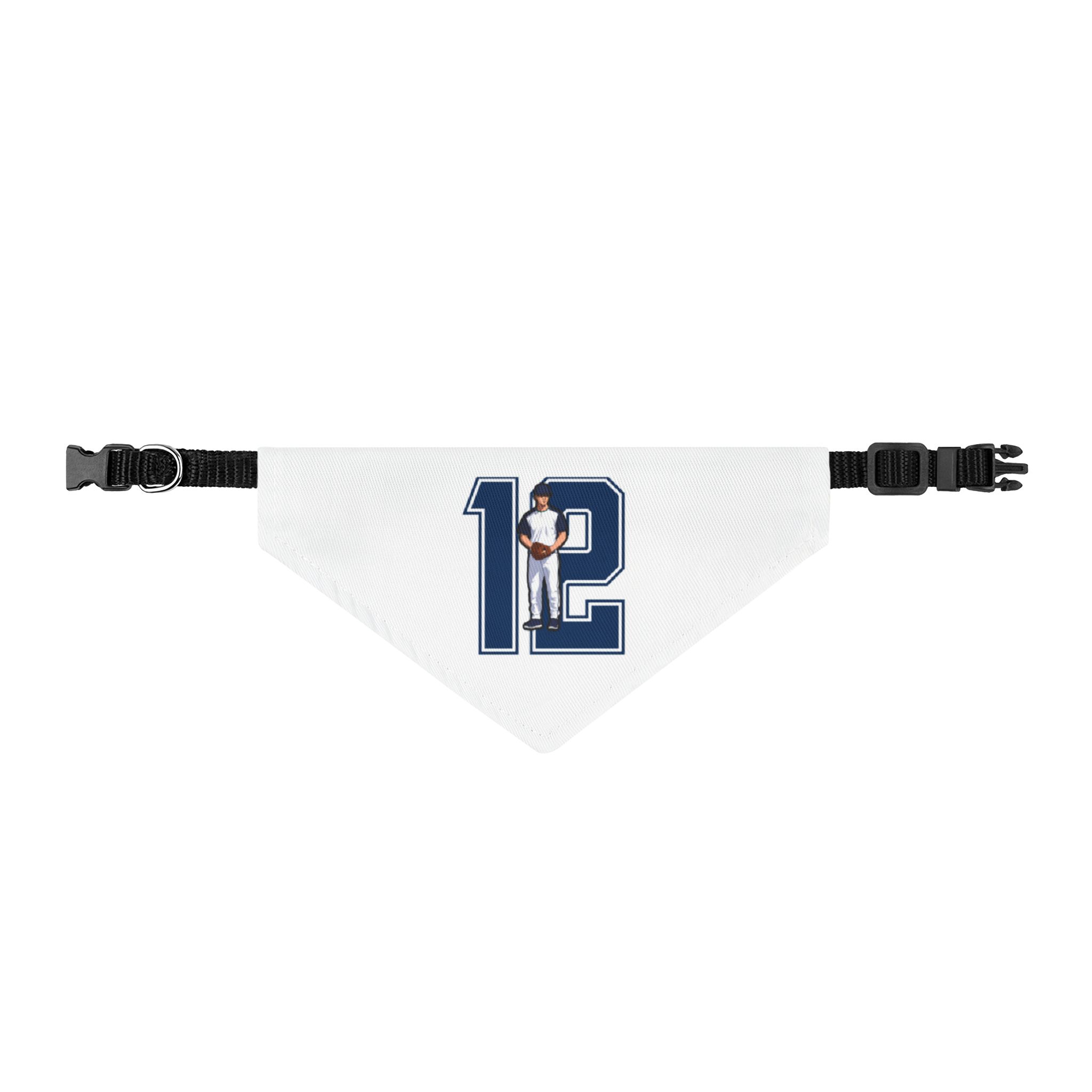 Pet Bandana — character_number in Classic
