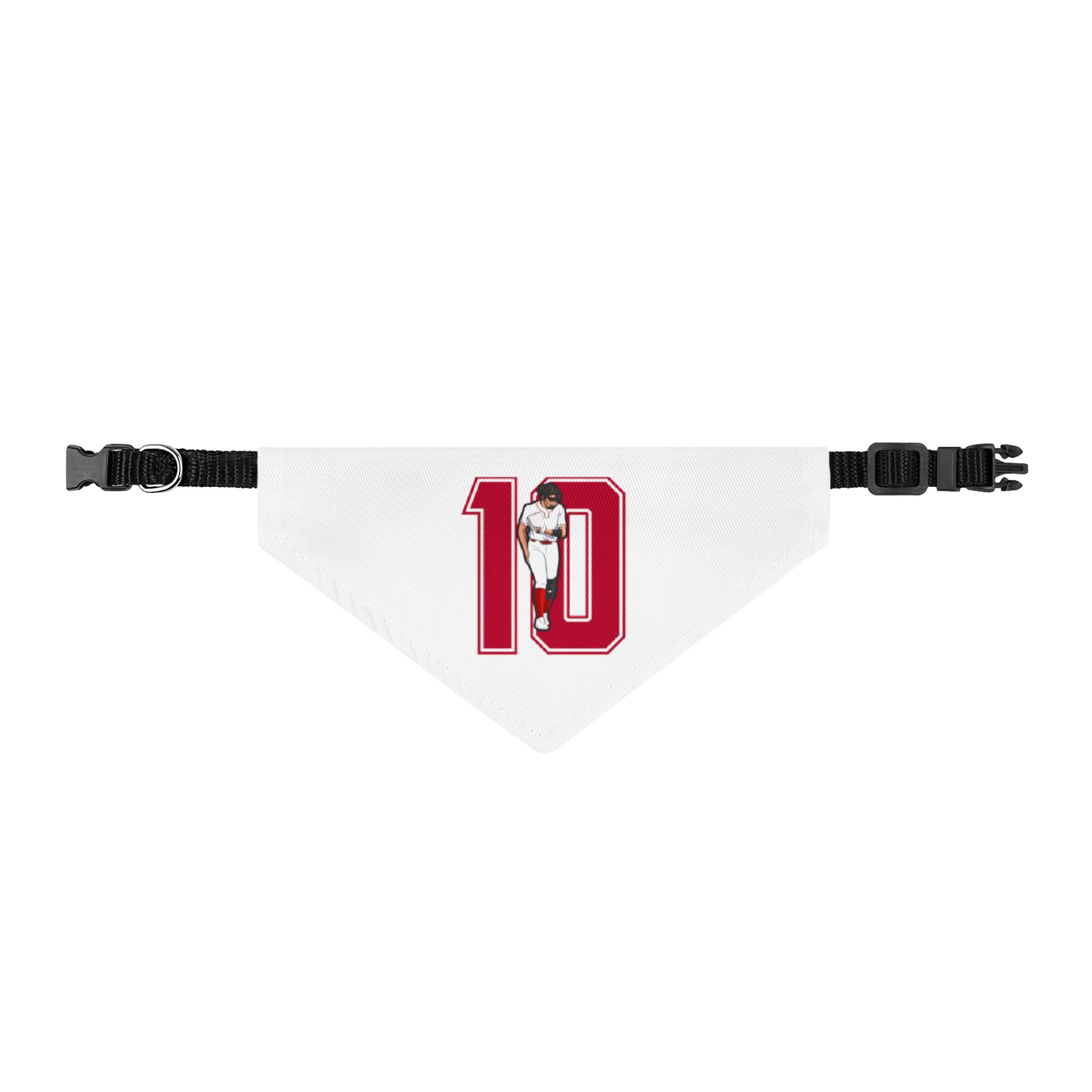 Pet Bandana — character_number in Classic