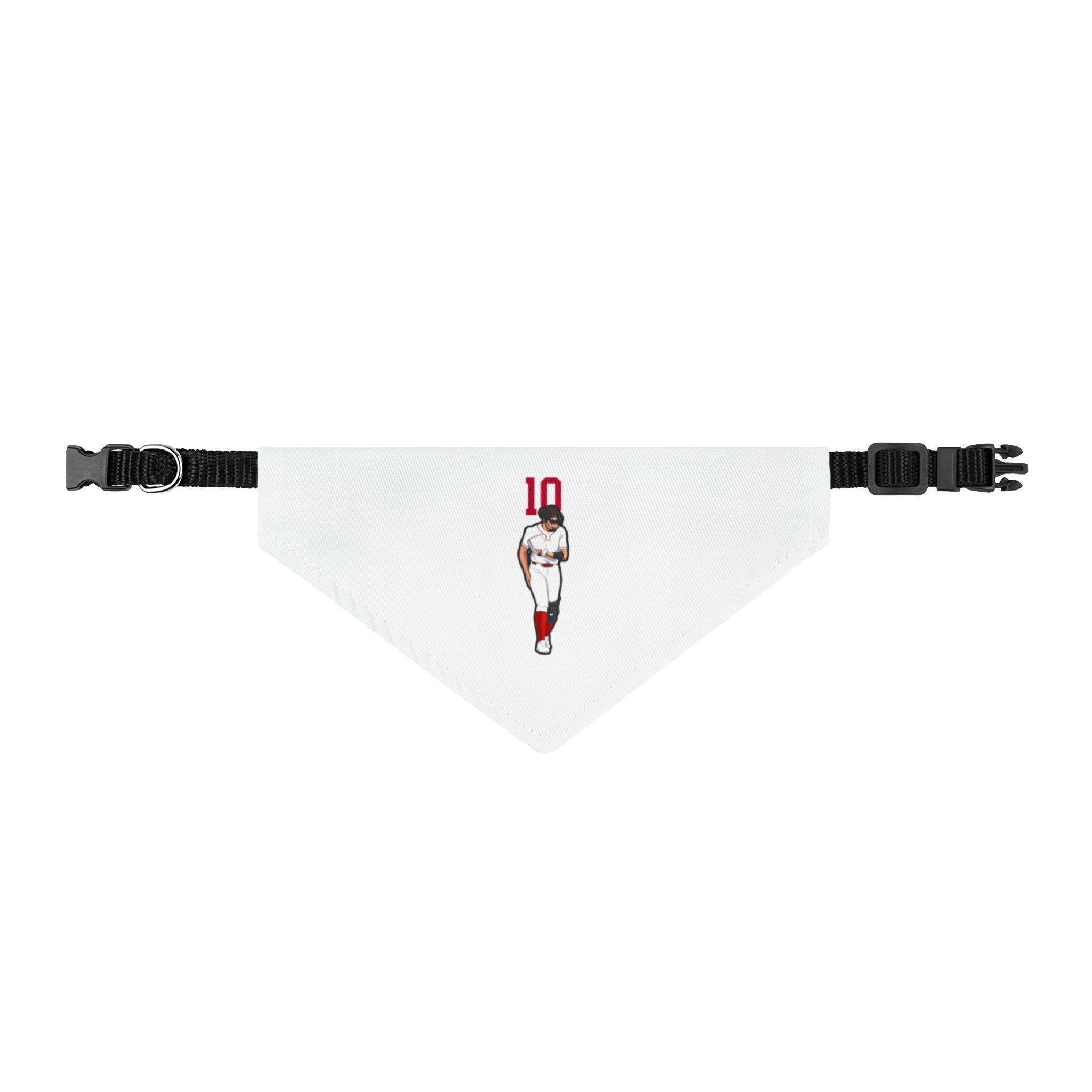 Pet Bandana — character_number_top in Classic