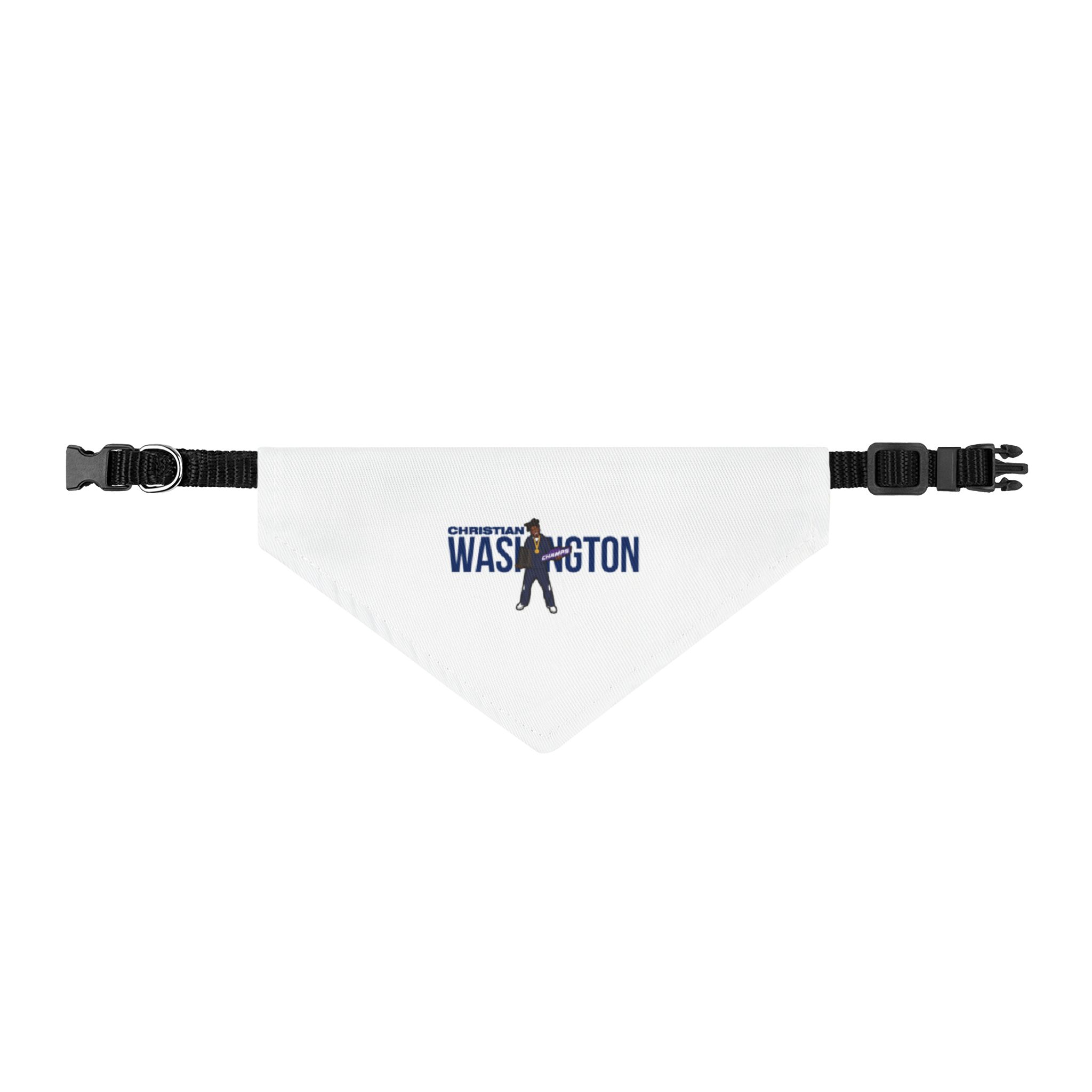 Pet Bandana — character_player_name in Classic