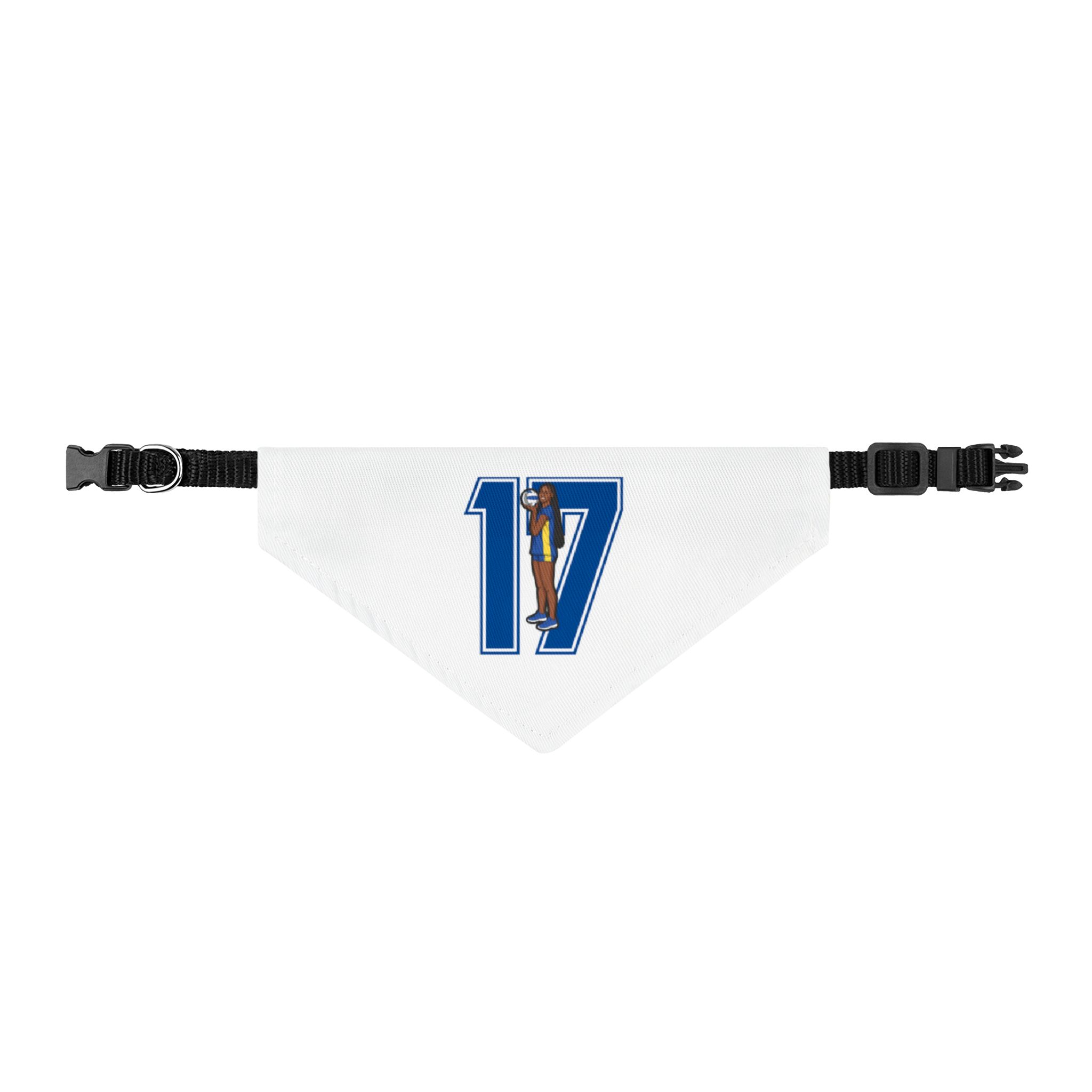 Pet Bandana — character_number in Classic