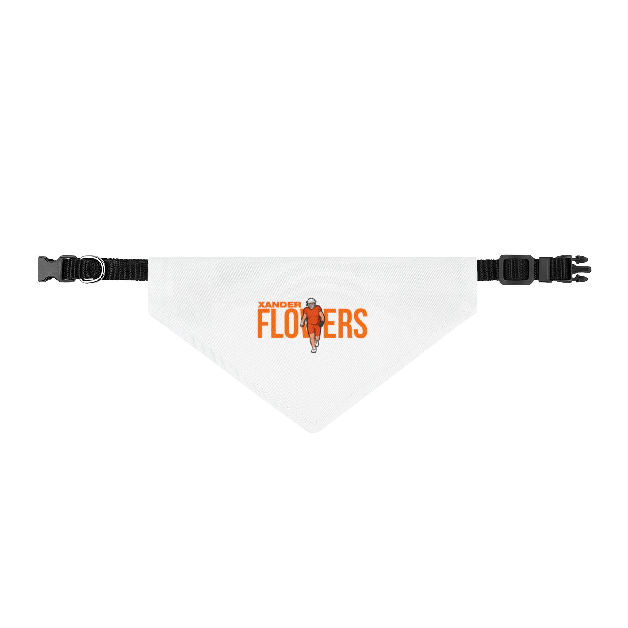 Pet Bandana — character_player_name in Classic