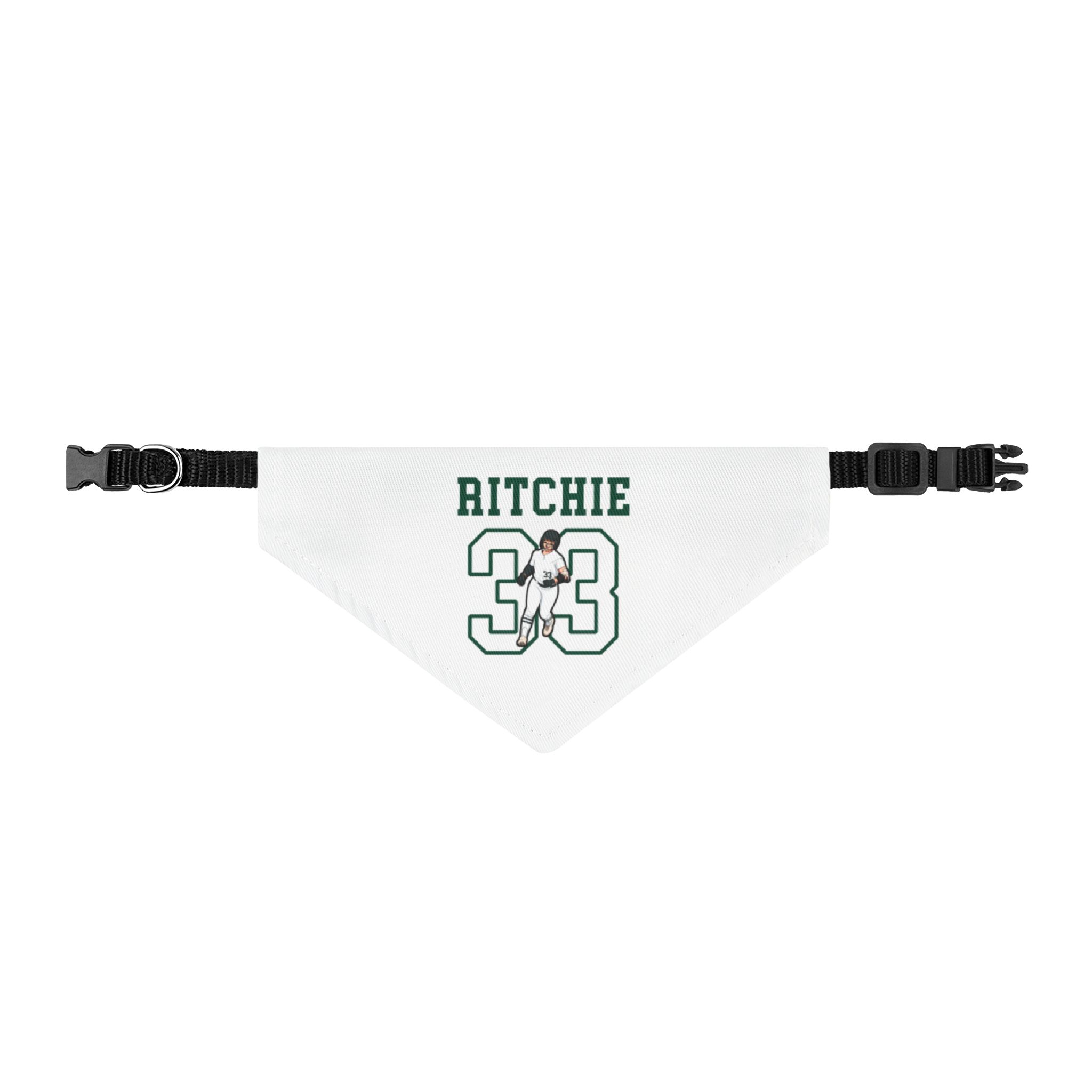 Clip-on Pet Bandana — character_shirsey in Classic