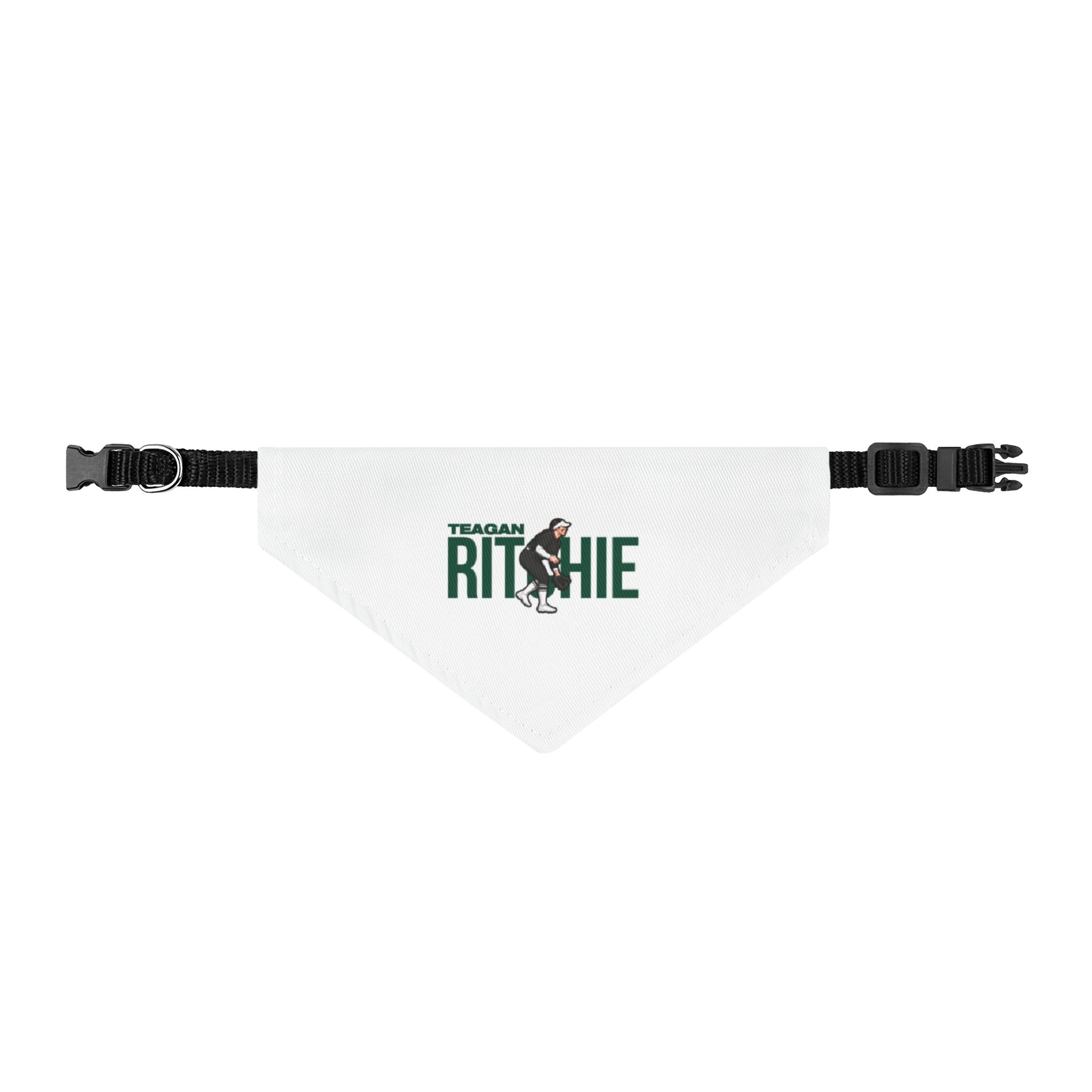 Clip-on Pet Bandana — character_player_name in Classic