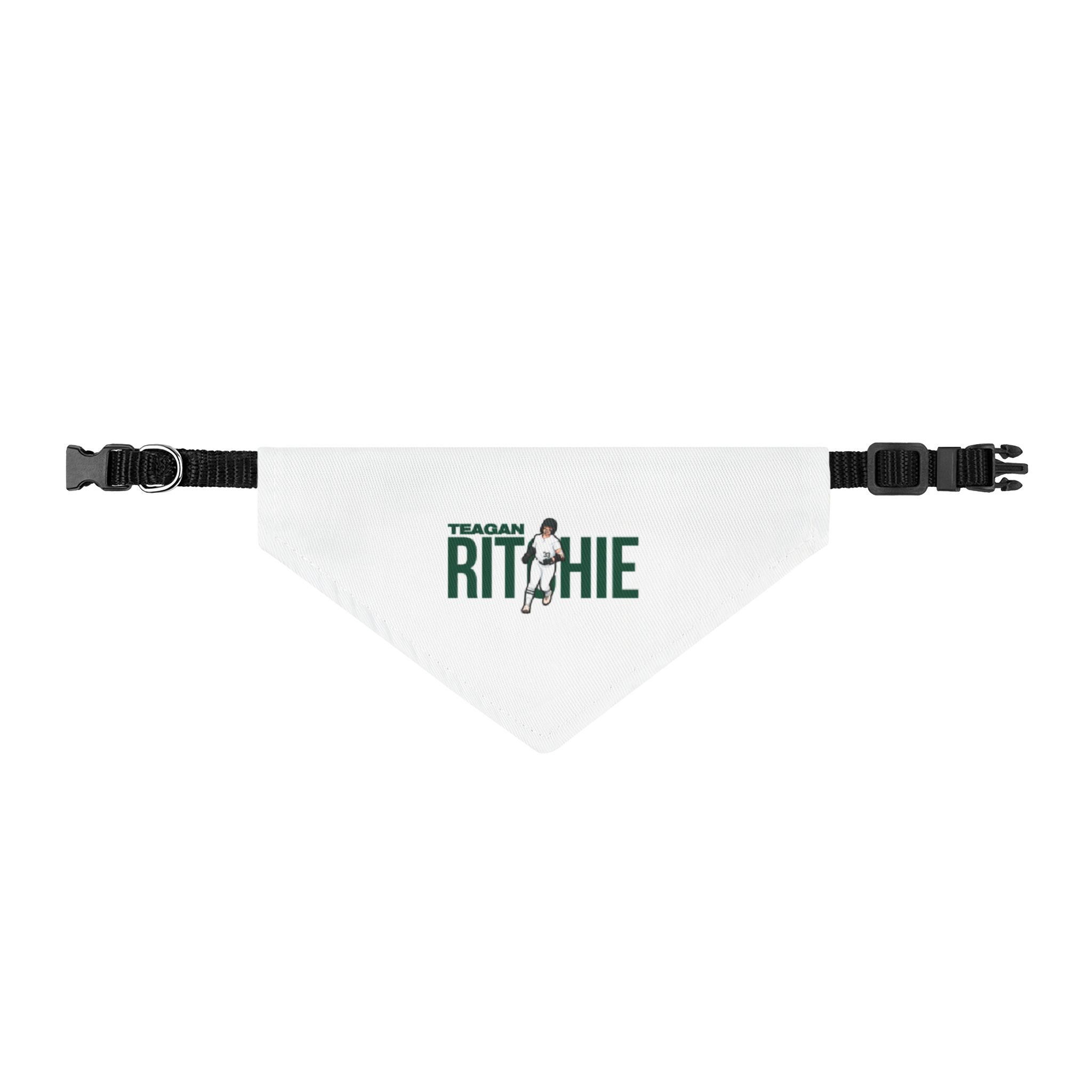 Clip-on Pet Bandana — character_player_name in Classic
