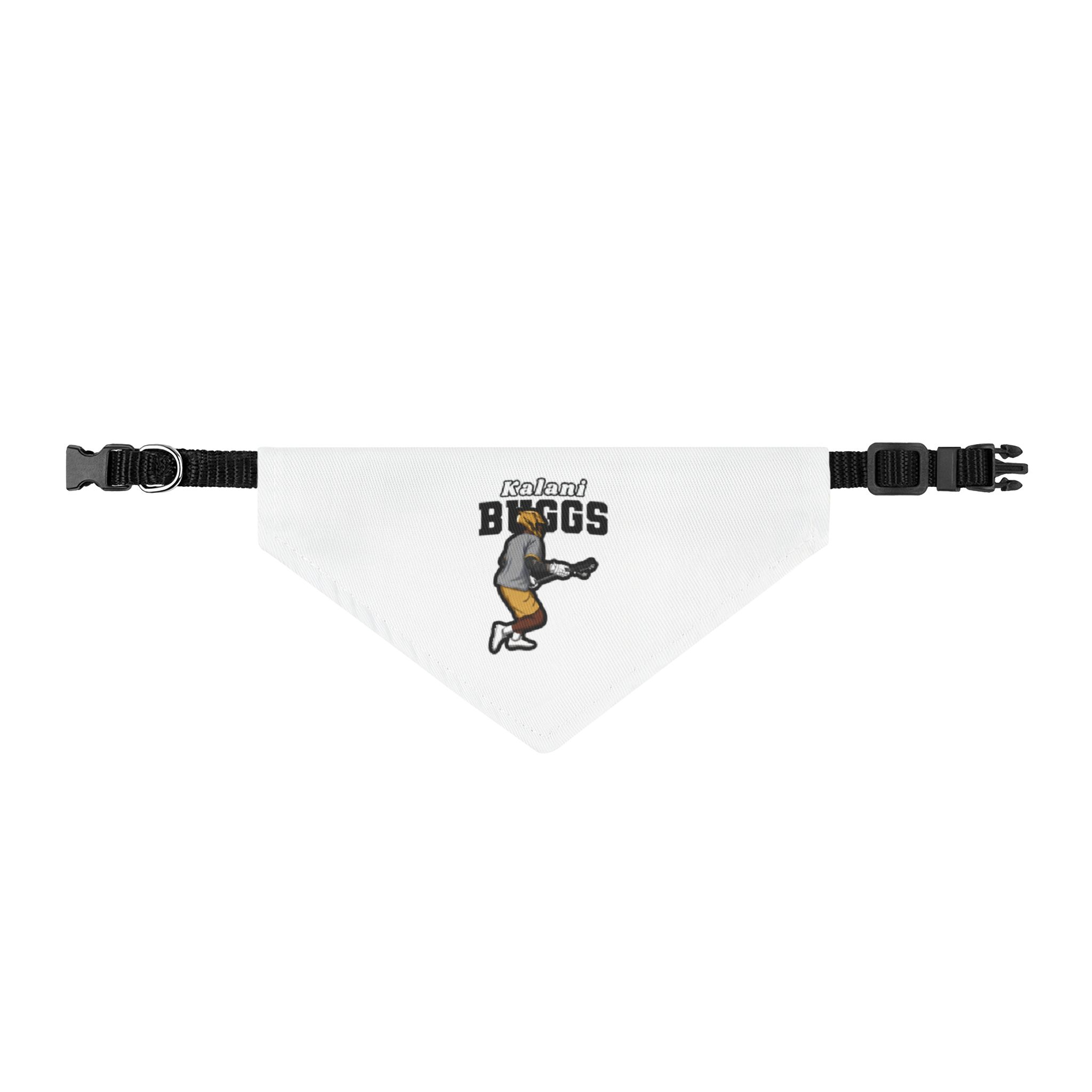 Pet Bandana — character_name_arch in Classic