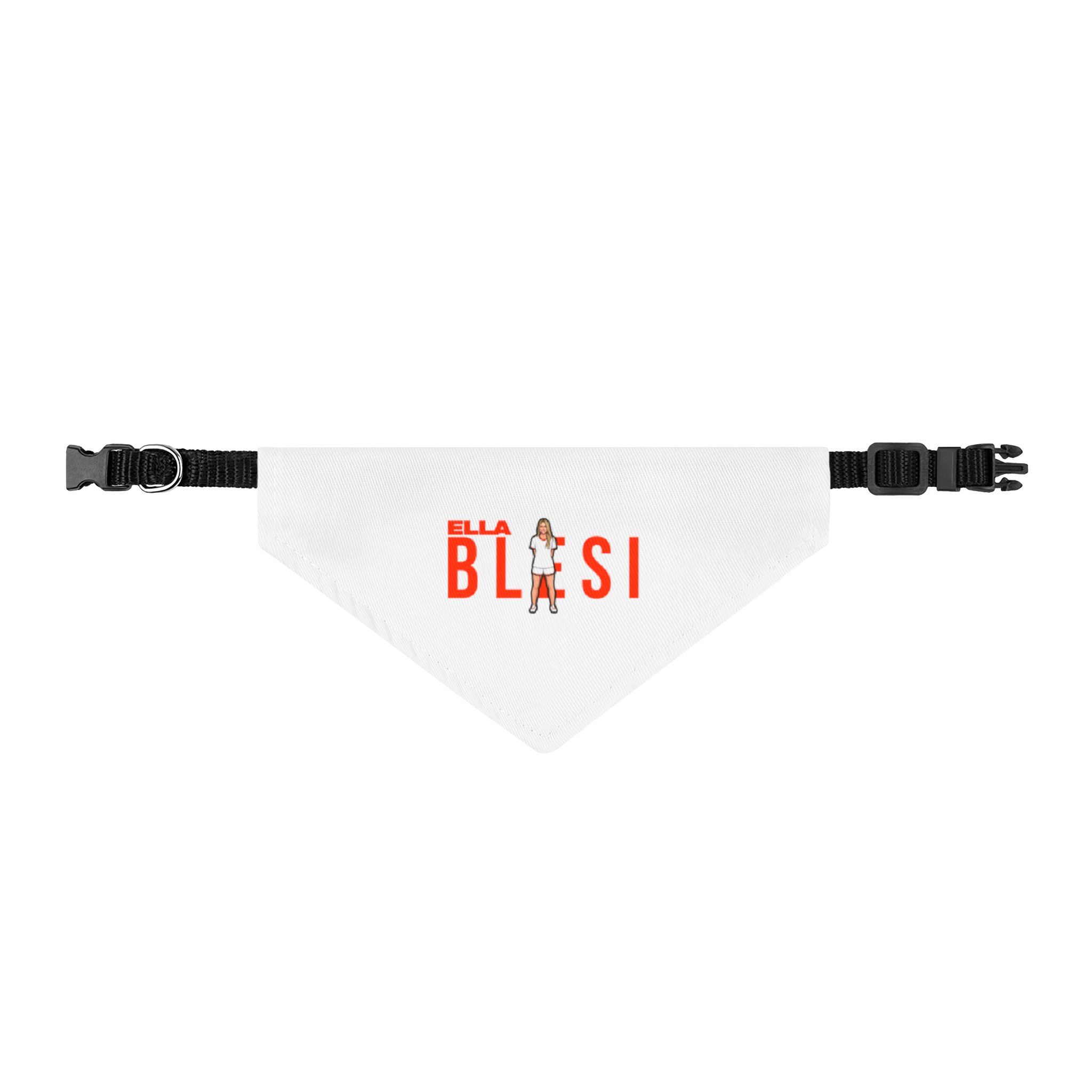 Pet Bandana — character_player_name in Classic