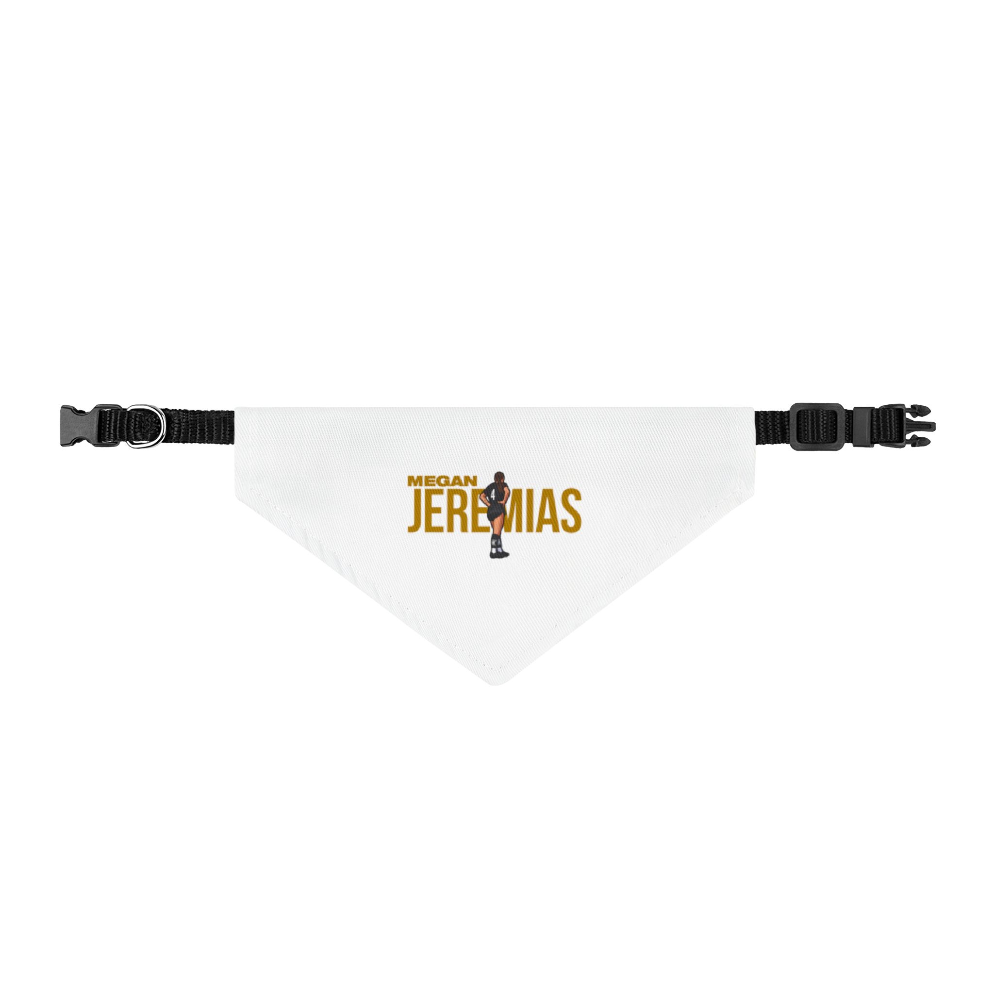 Pet Bandana — character_player_name in Classic