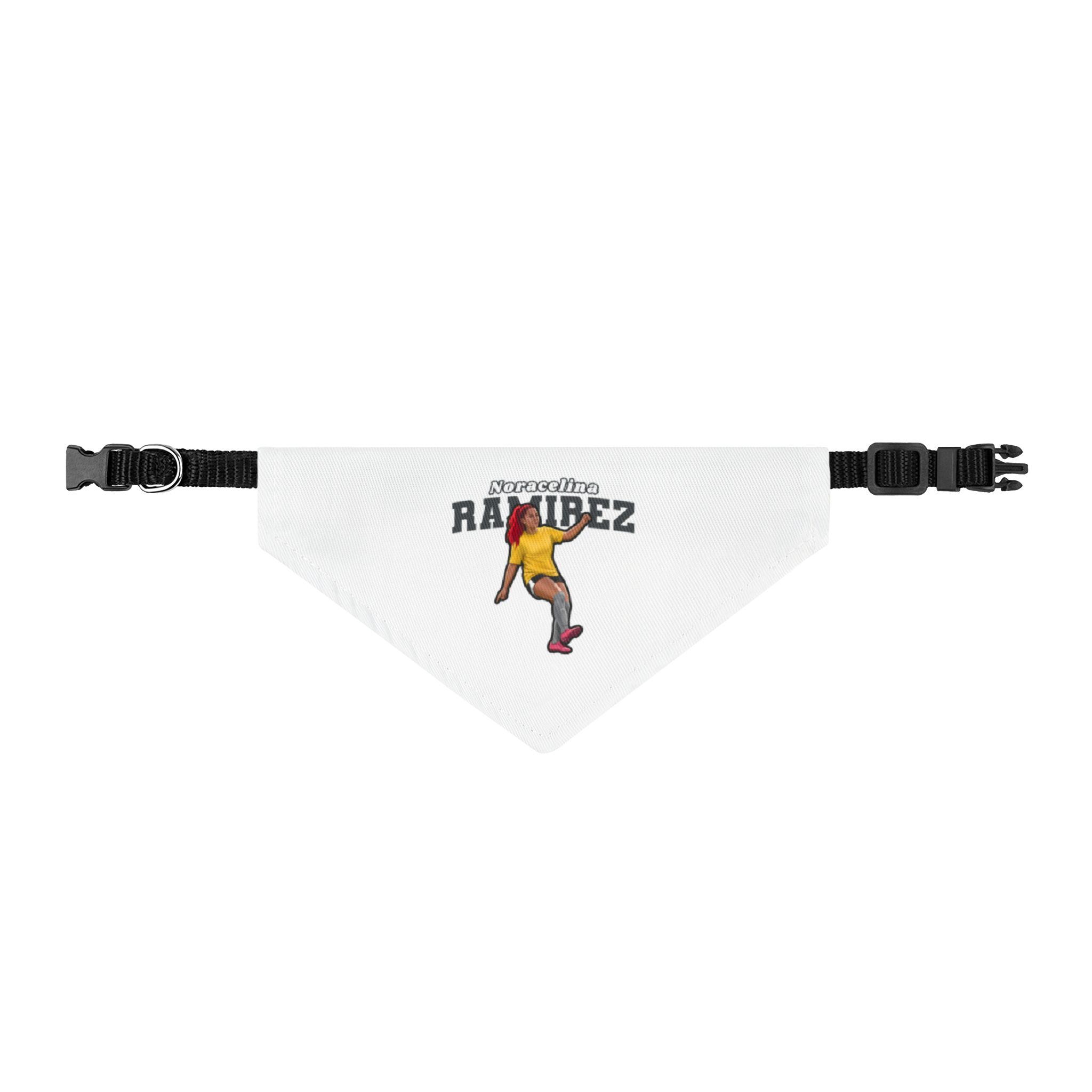Pet Bandana — character_name_arch in Classic