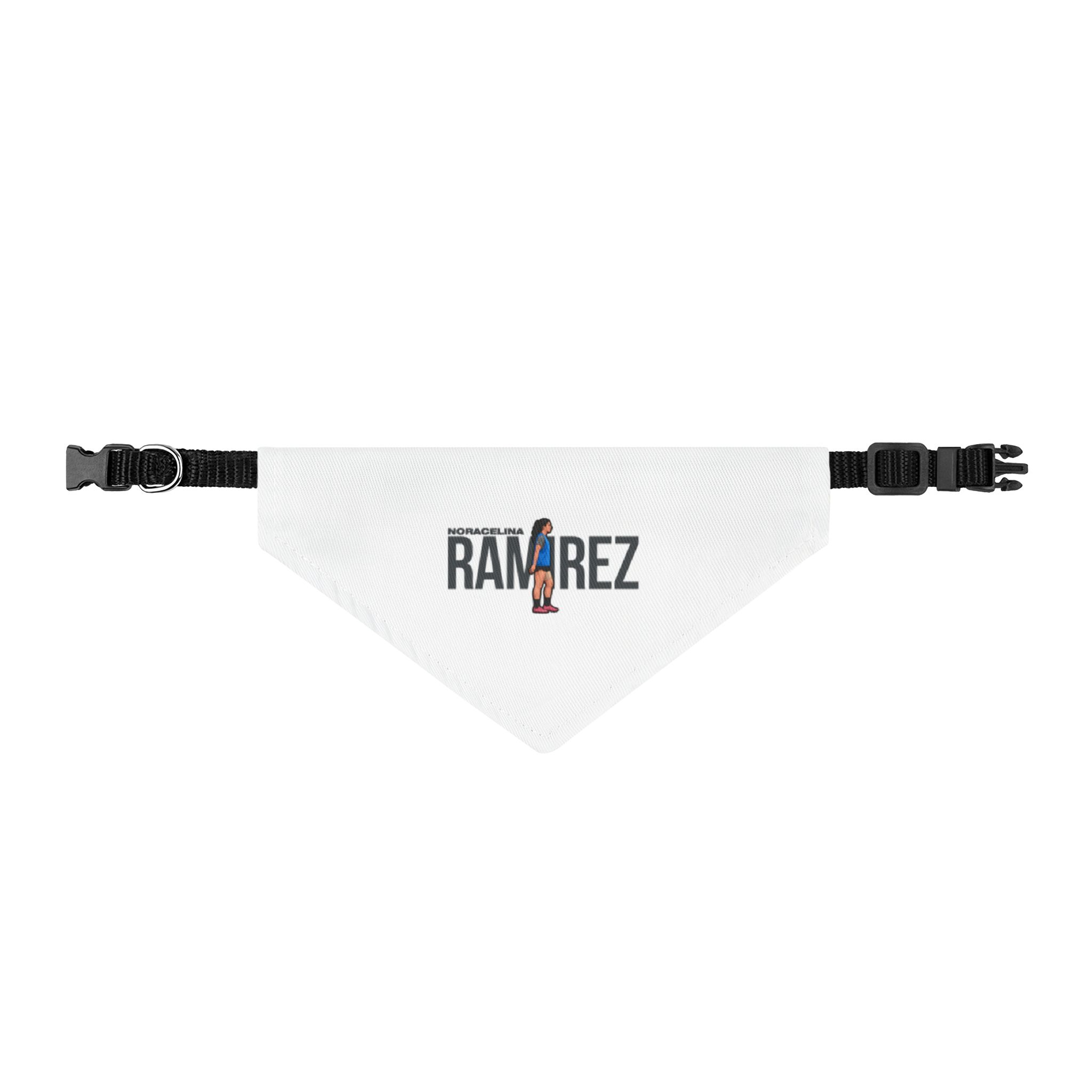 Pet Bandana — character_player_name in Classic