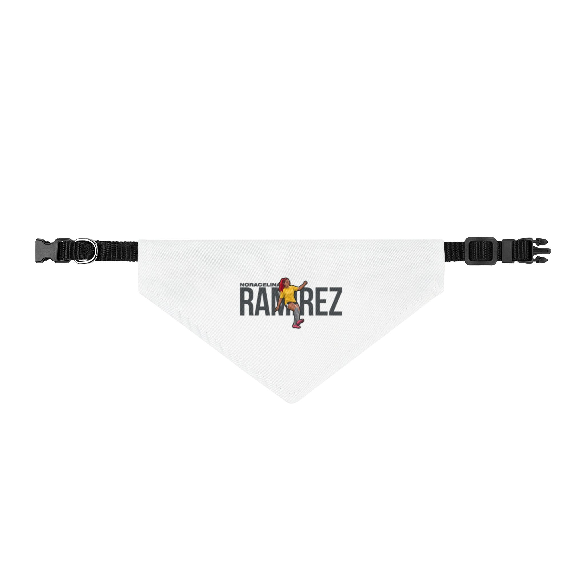 Pet Bandana — character_player_name in Classic