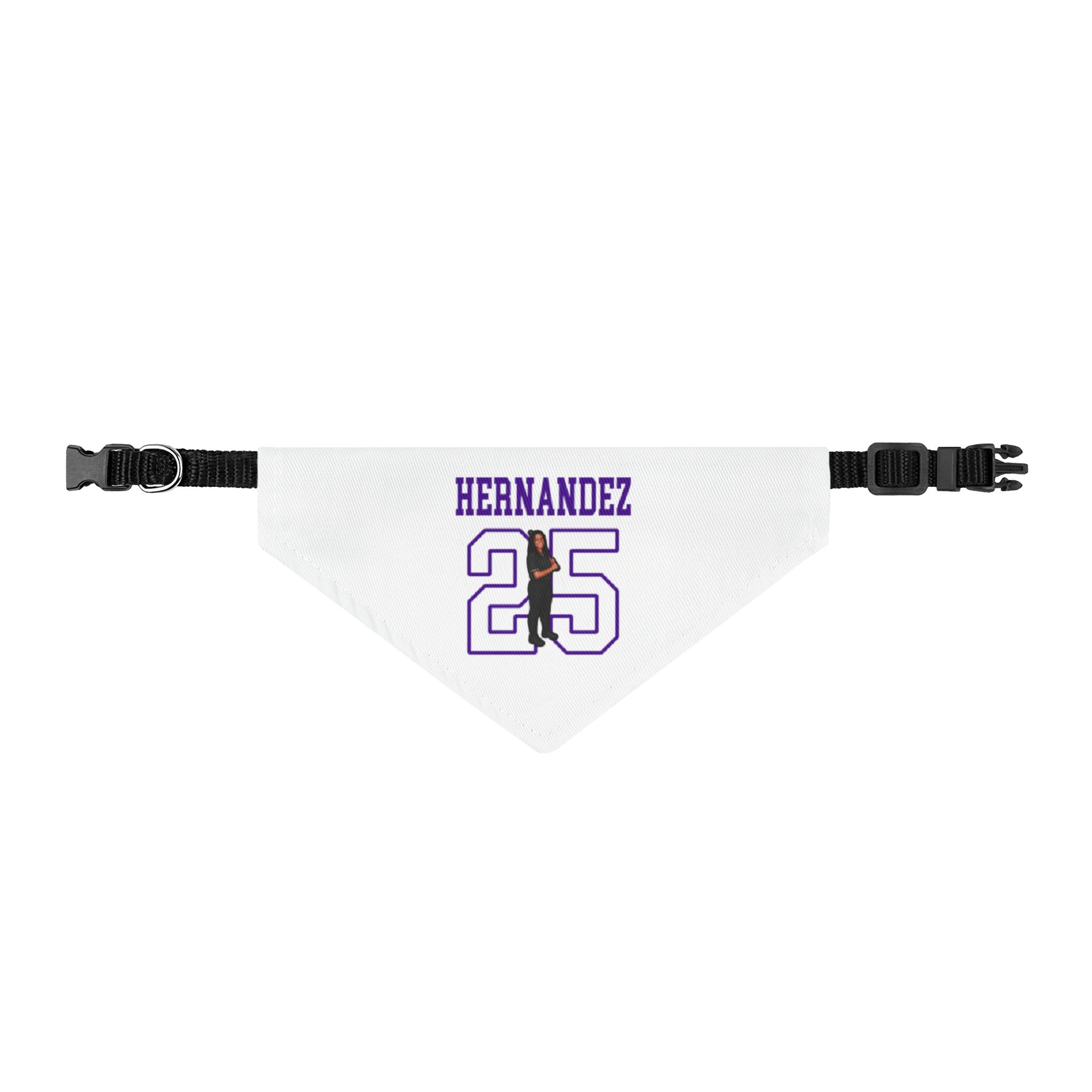 Pet Bandana — character_shirsey in Classic