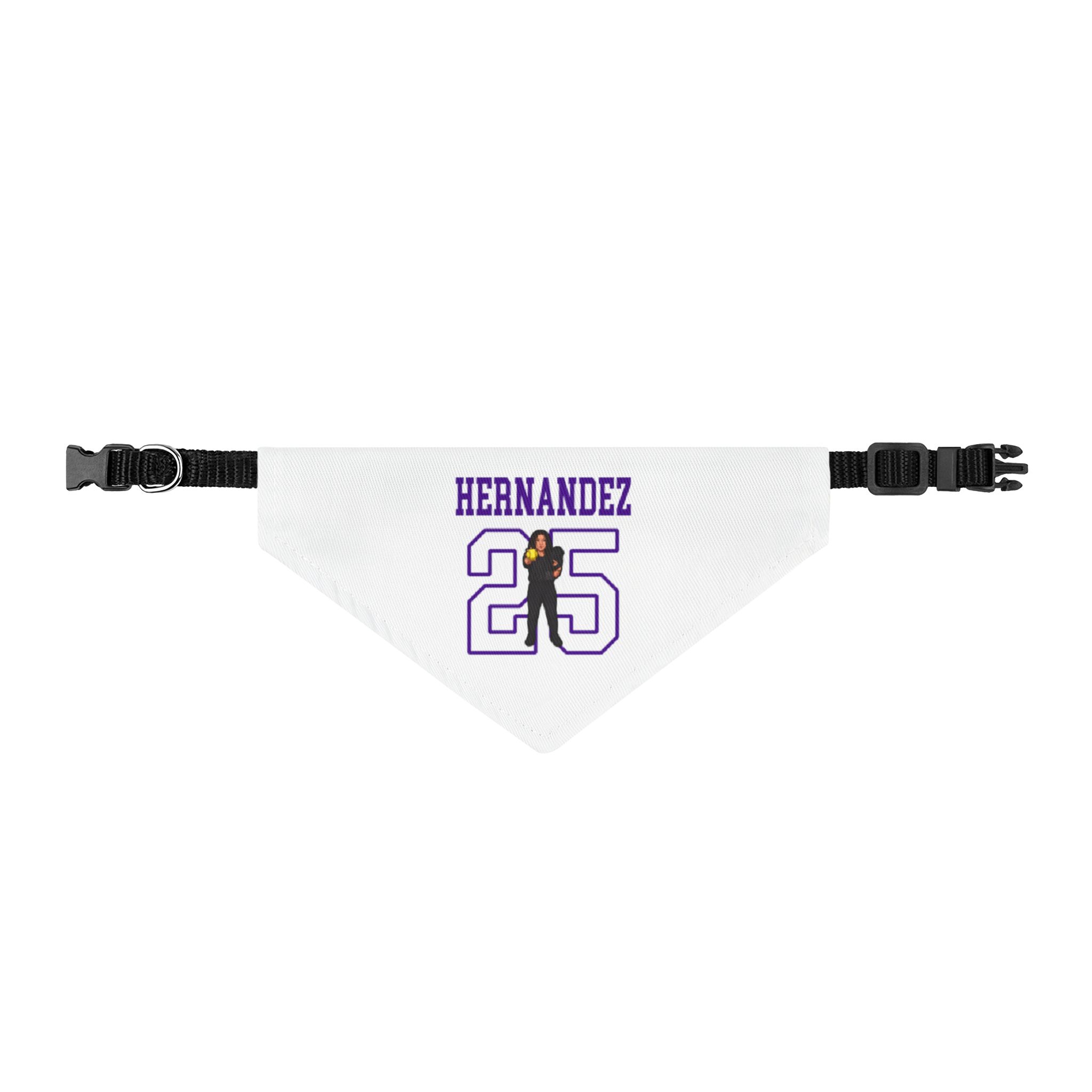 Pet Bandana — character_shirsey in Classic