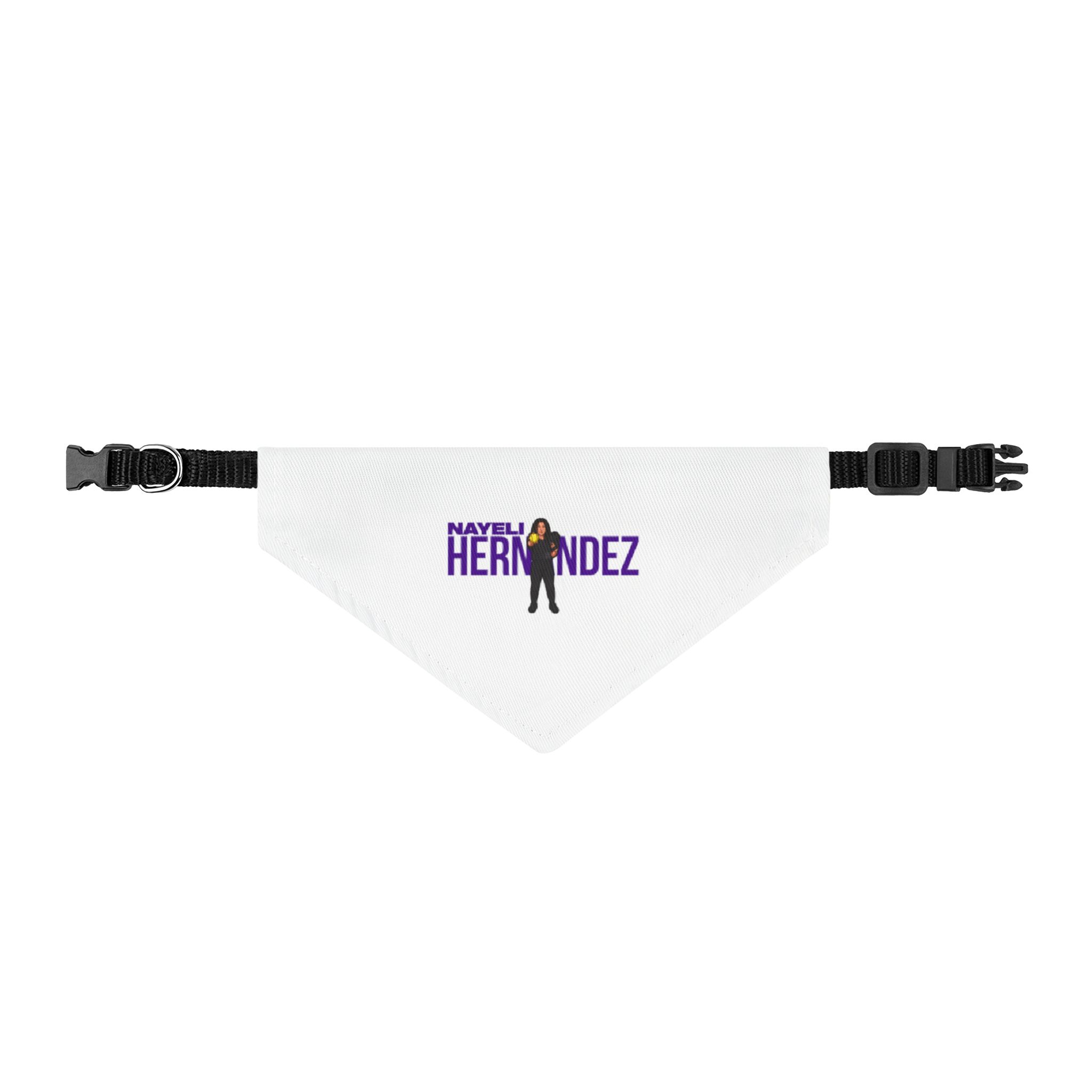 Pet Bandana — character_player_name in Classic
