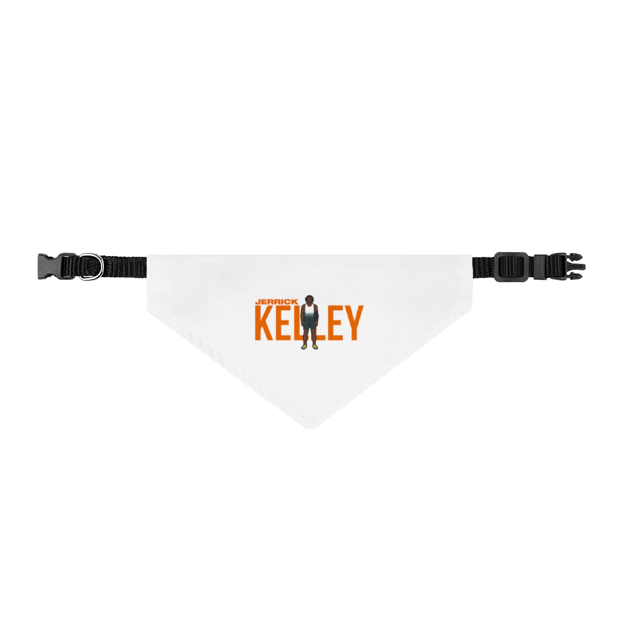 Pet Bandana — character_player_name in Classic