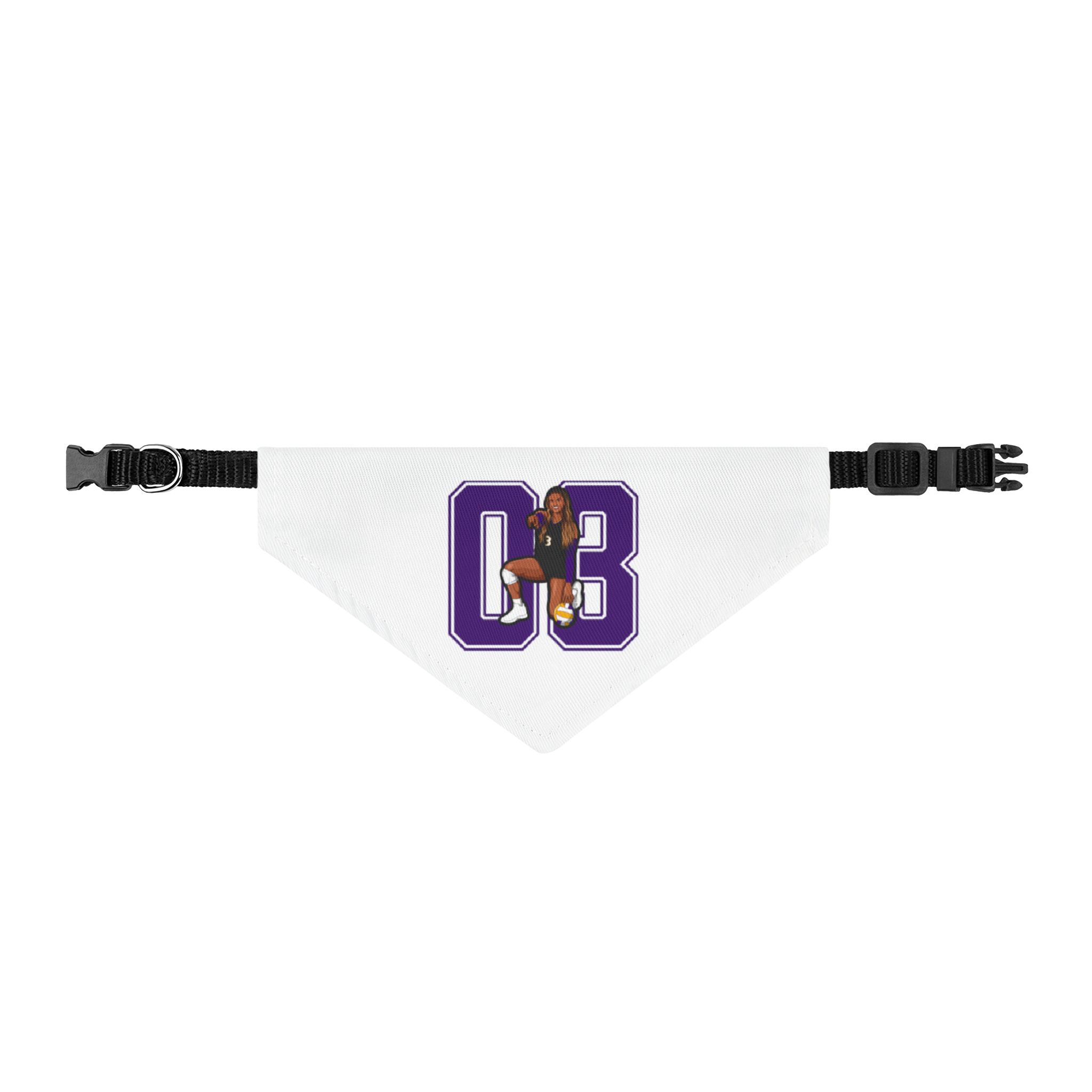 Pet Bandana — character_number in Classic