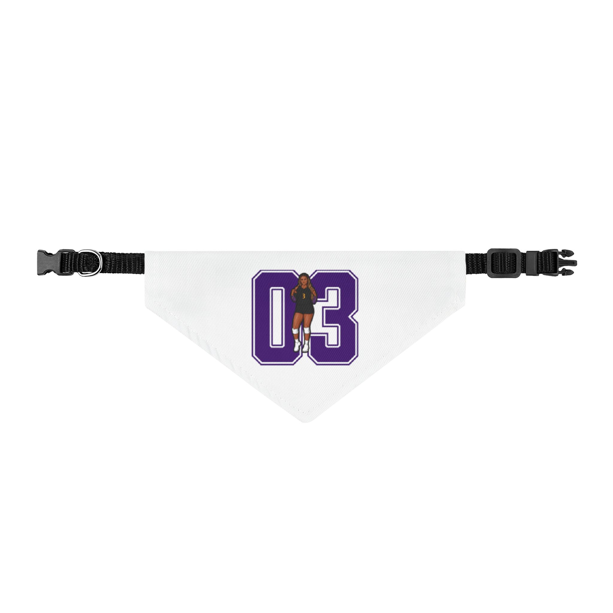 Pet Bandana — character_number in Classic
