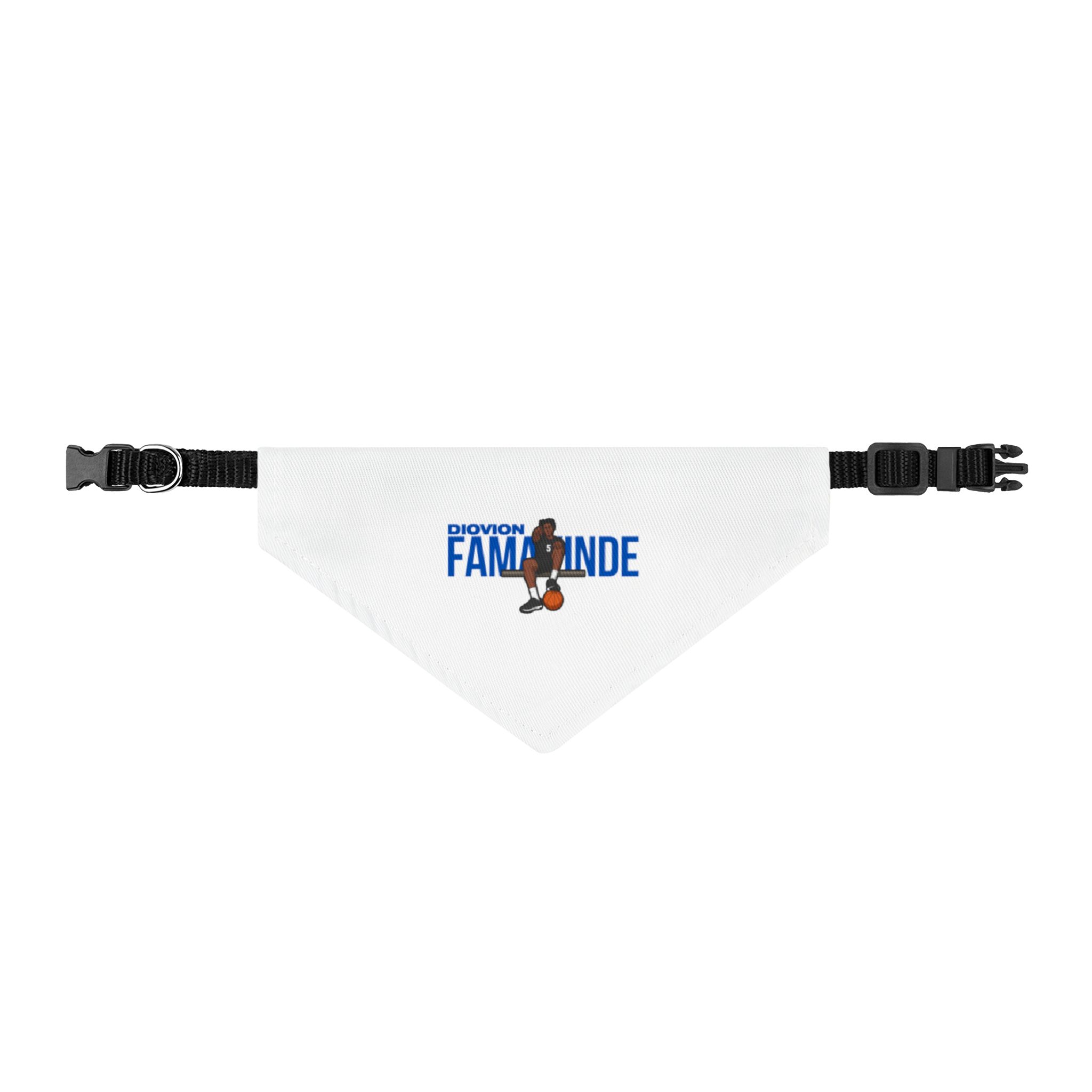 Pet Bandana — character_player_name in Classic