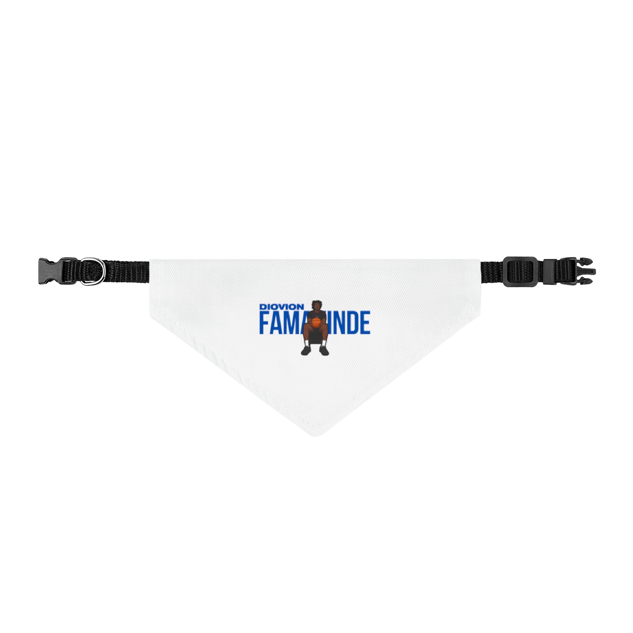 Pet Bandana — character_player_name in Classic