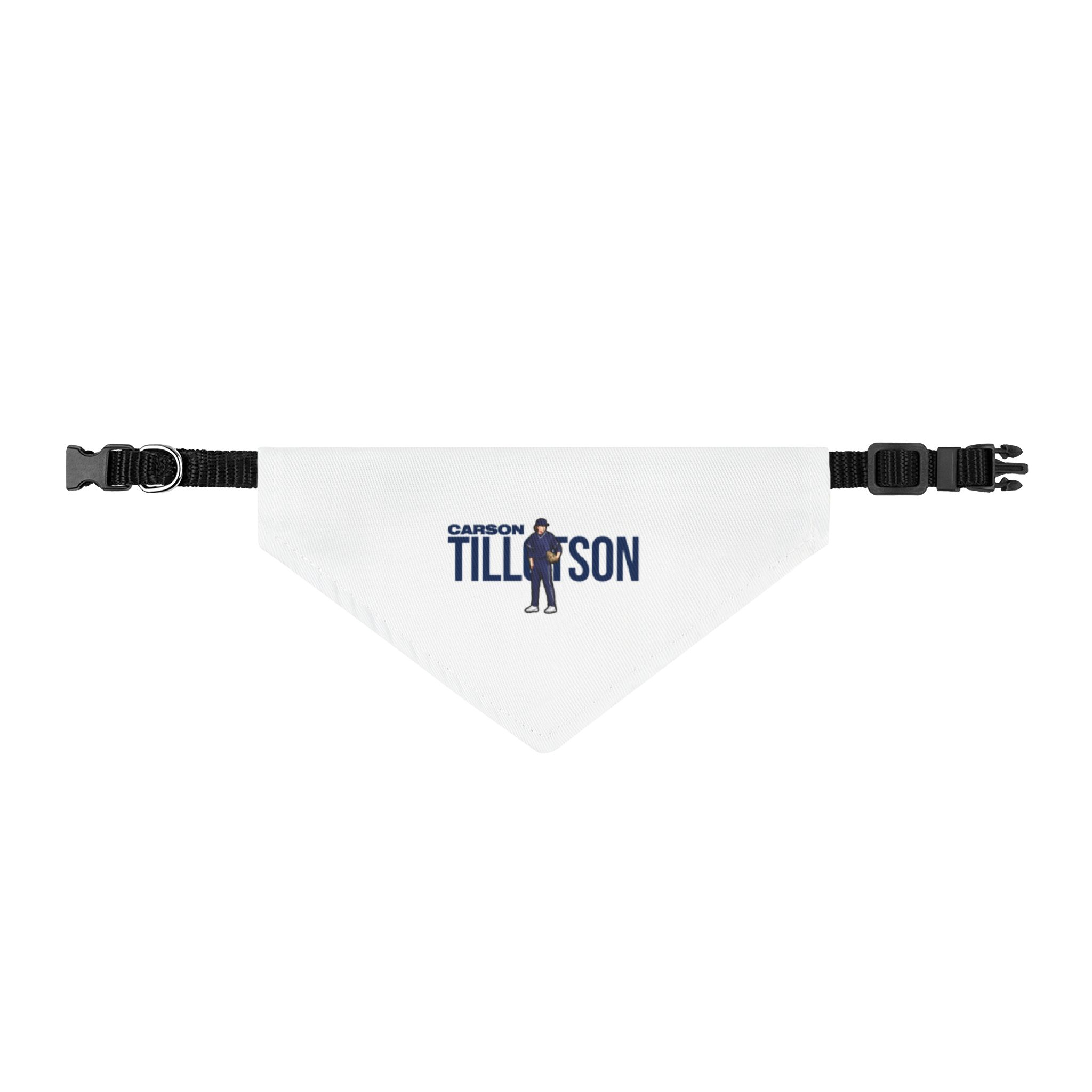 Pet Bandana — character_player_name in Classic