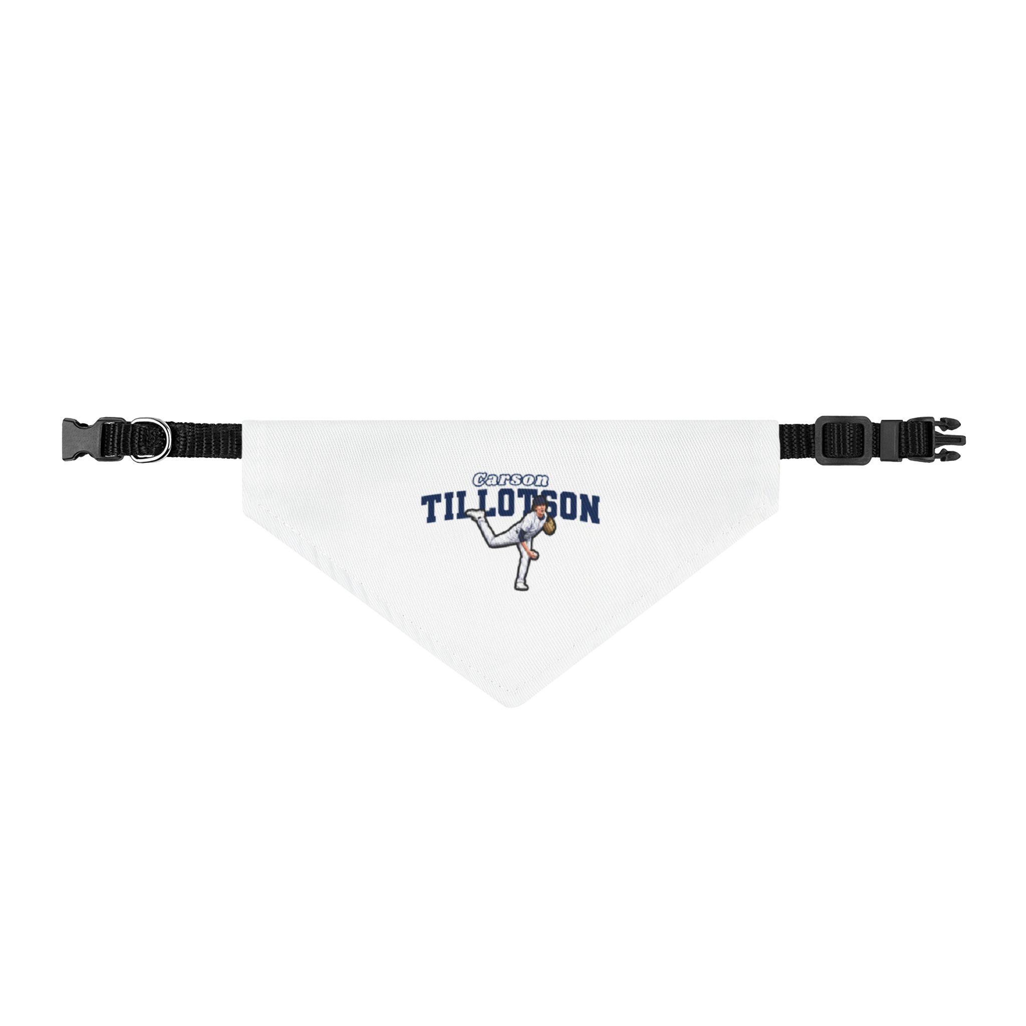 Pet Bandana — character_name_arch in Classic