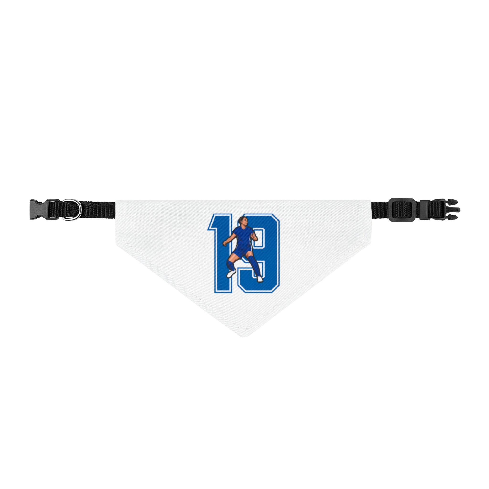 Pet Bandana — character_number in Classic