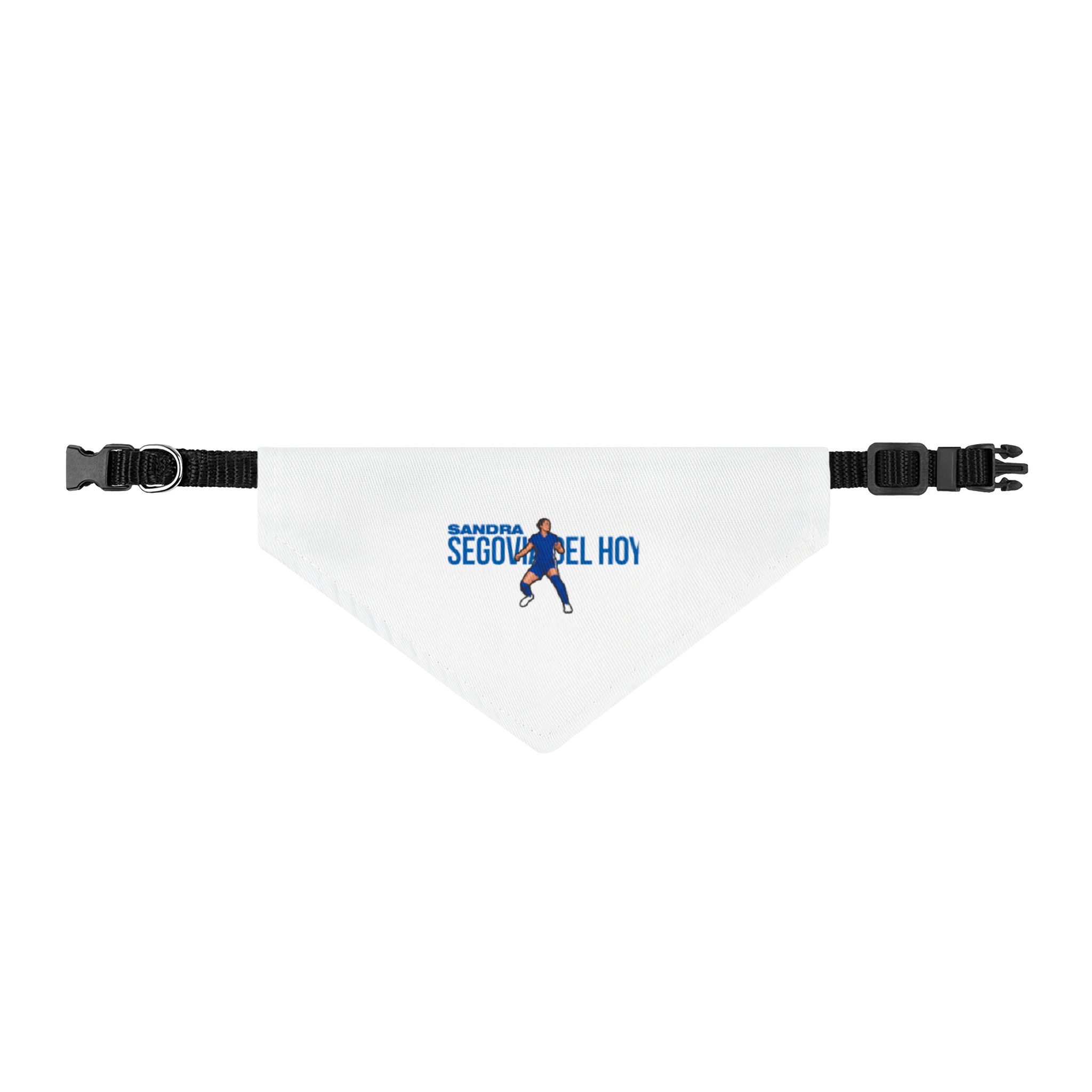 Pet Bandana — character_player_name in Classic