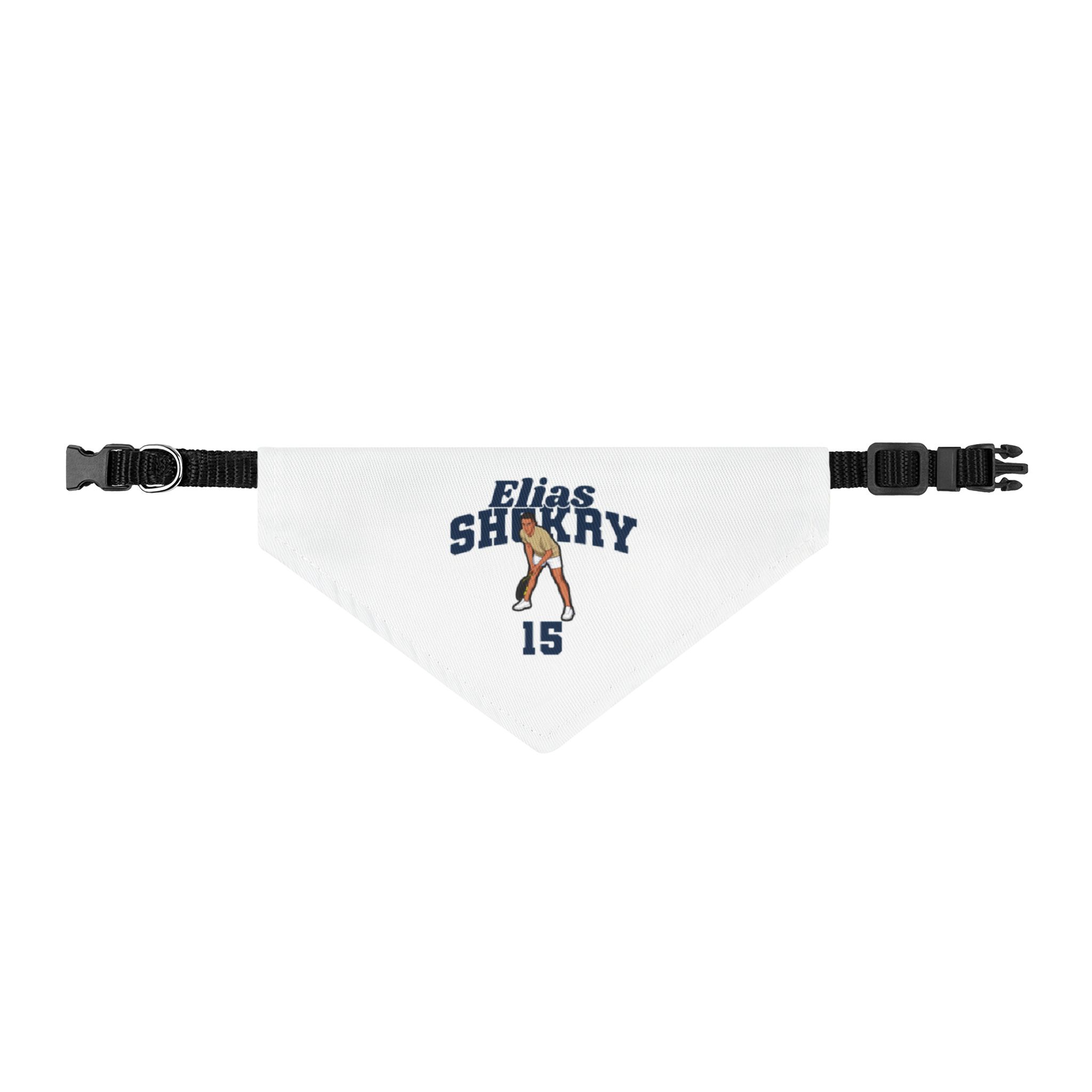 Pet Bandana — character_signature_arch in Classic