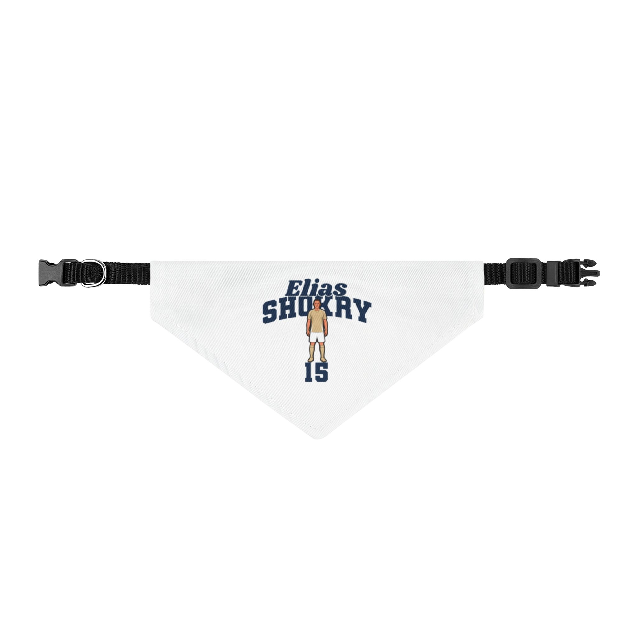 Pet Bandana — character_signature_arch in Classic