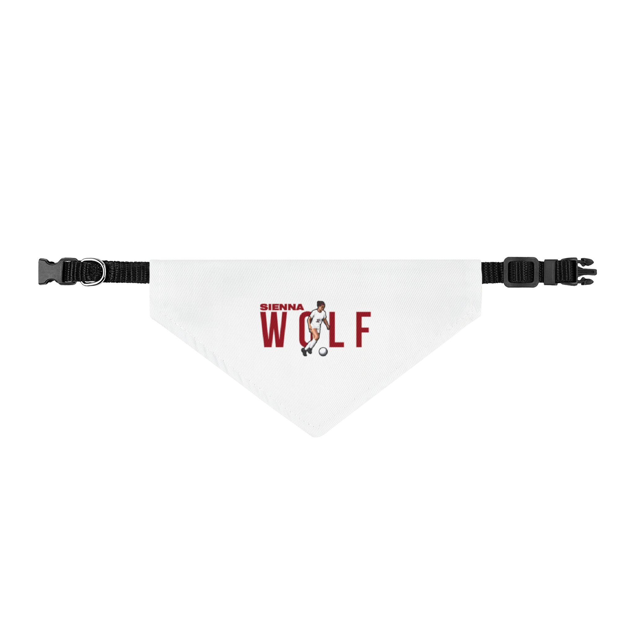 Pet Bandana — character_player_name in Classic