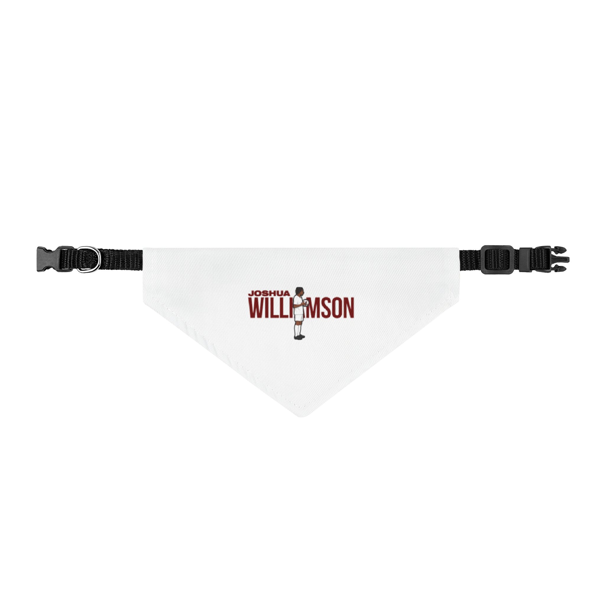 Pet Bandana — character_player_name in Classic