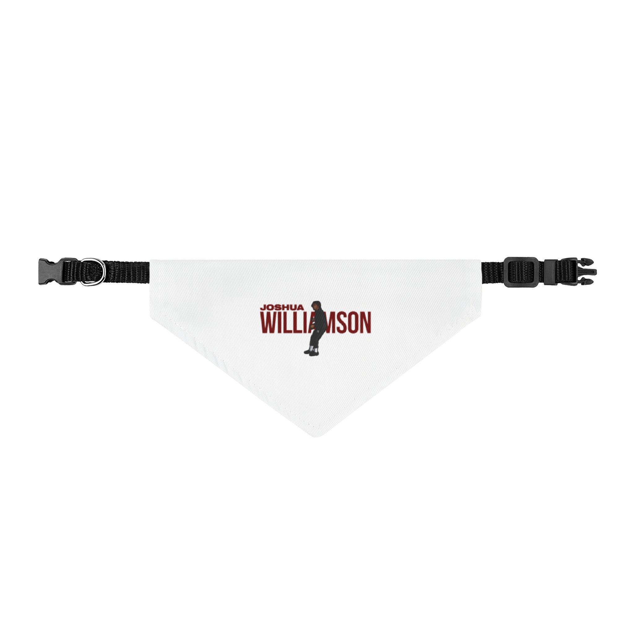 Pet Bandana — character_player_name in Classic
